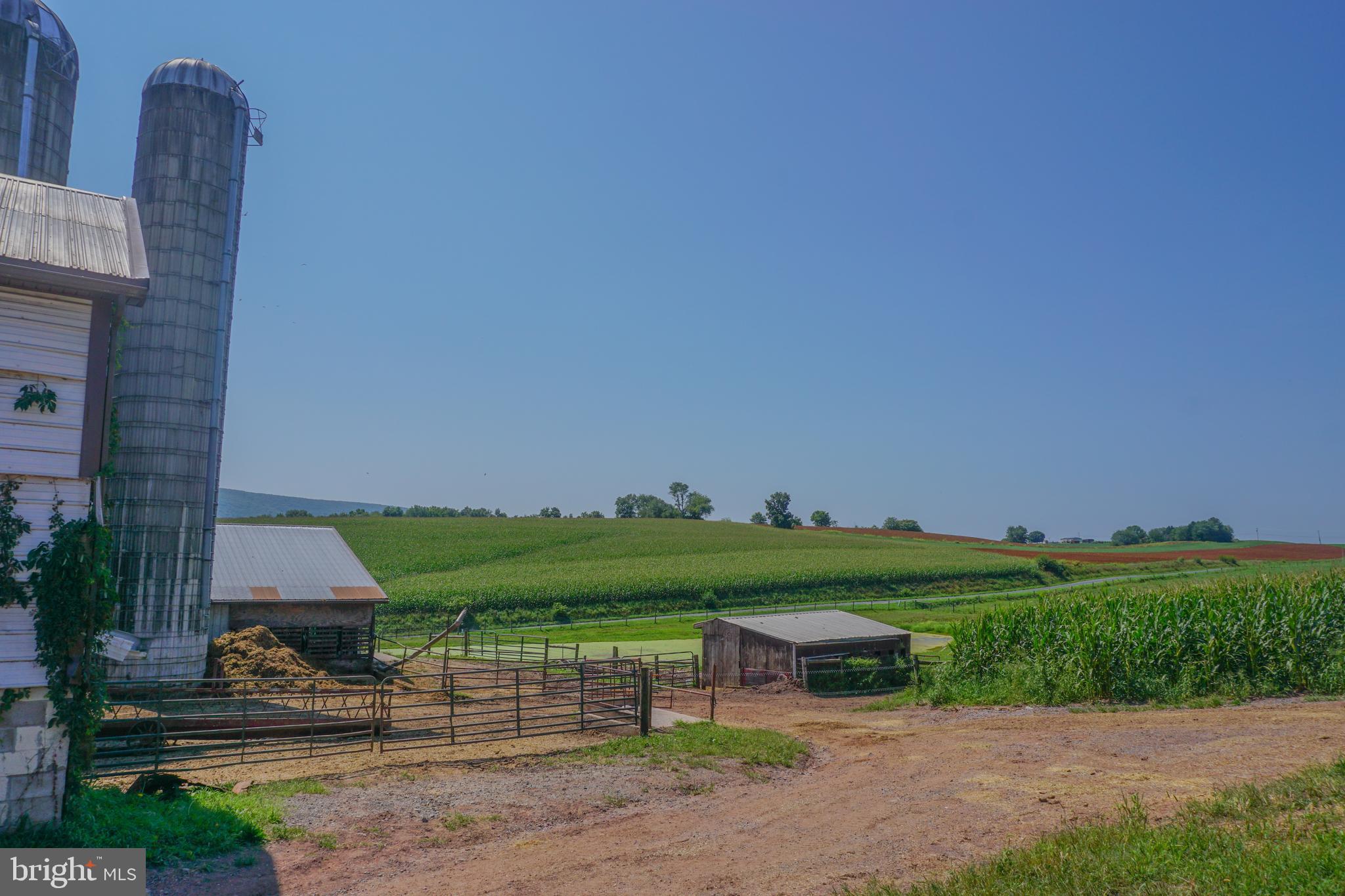 NONE AVAILABLE - Farm