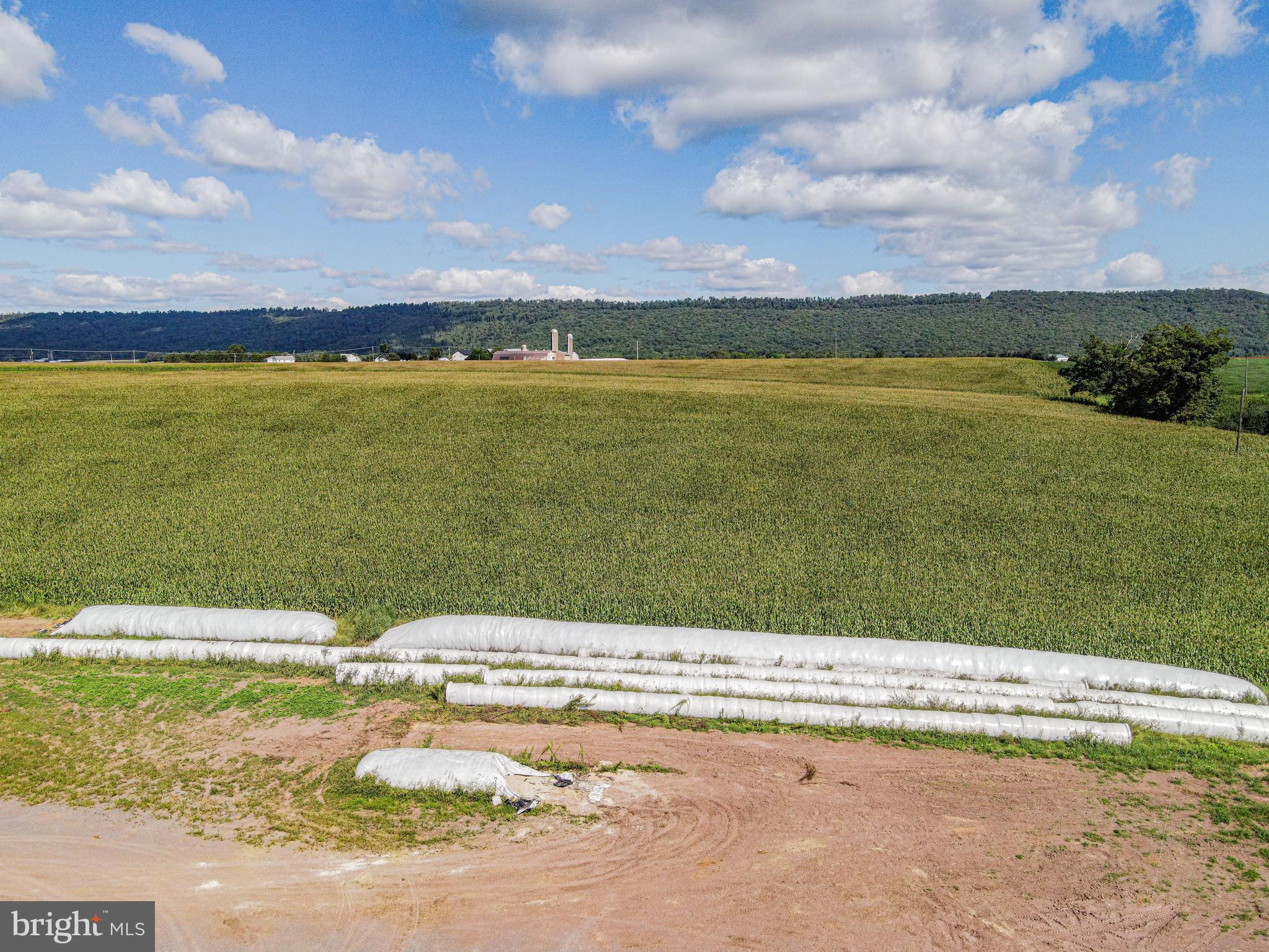 NONE AVAILABLE - Farm