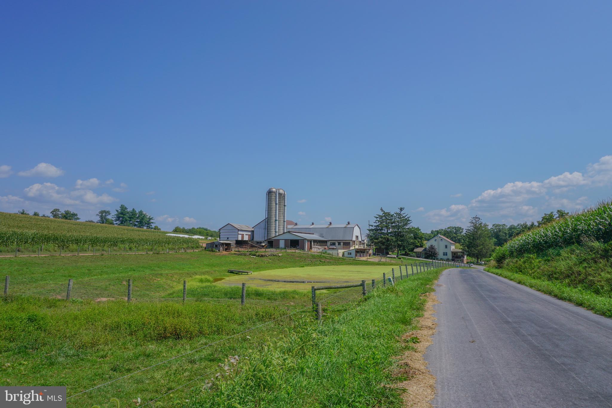 NONE AVAILABLE - Farm