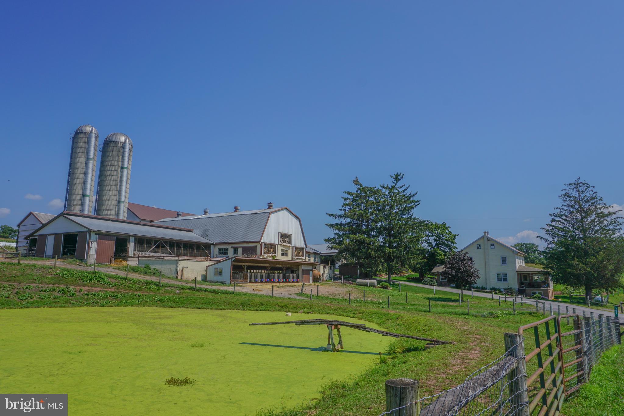 NONE AVAILABLE - Farm