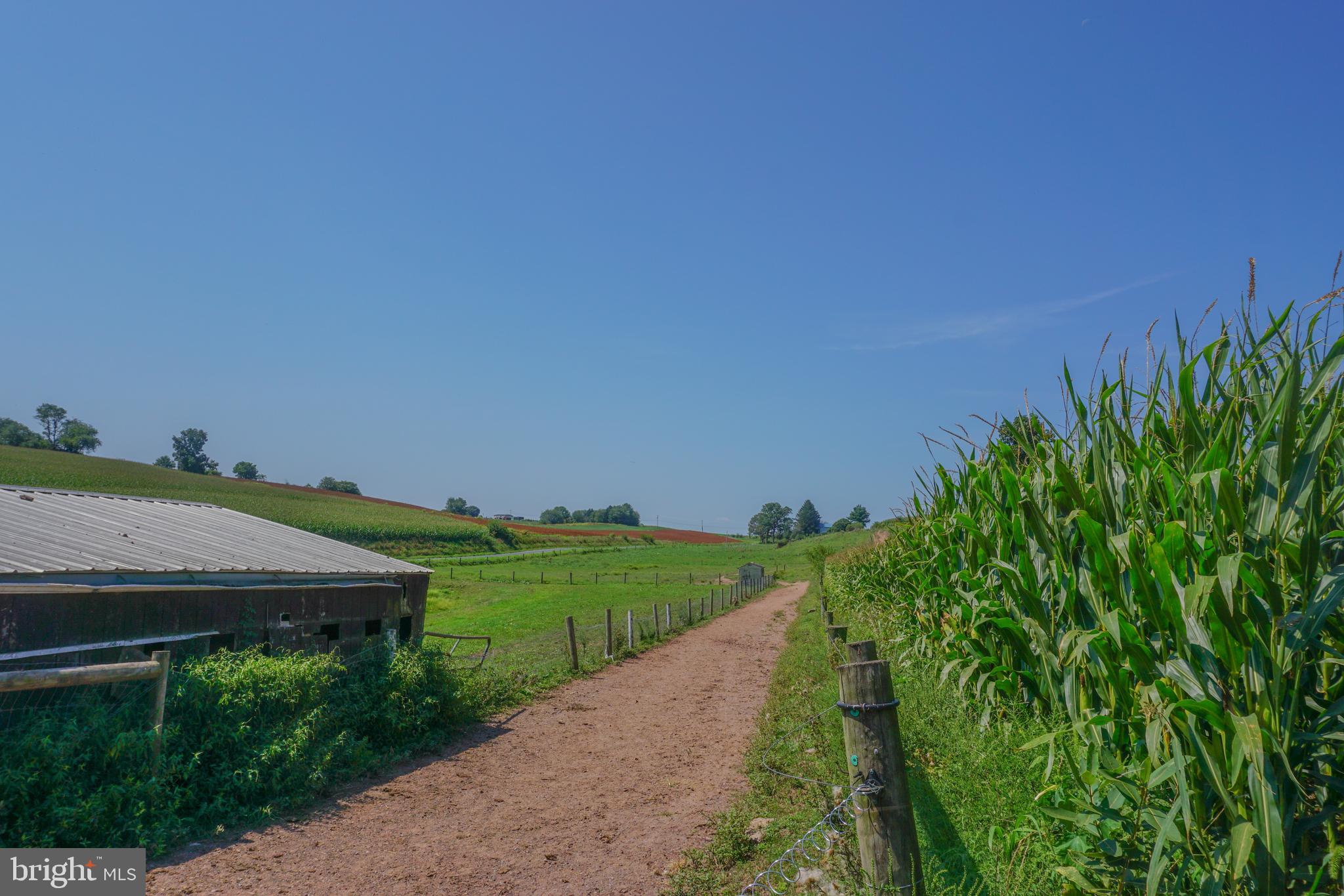 NONE AVAILABLE - Farm