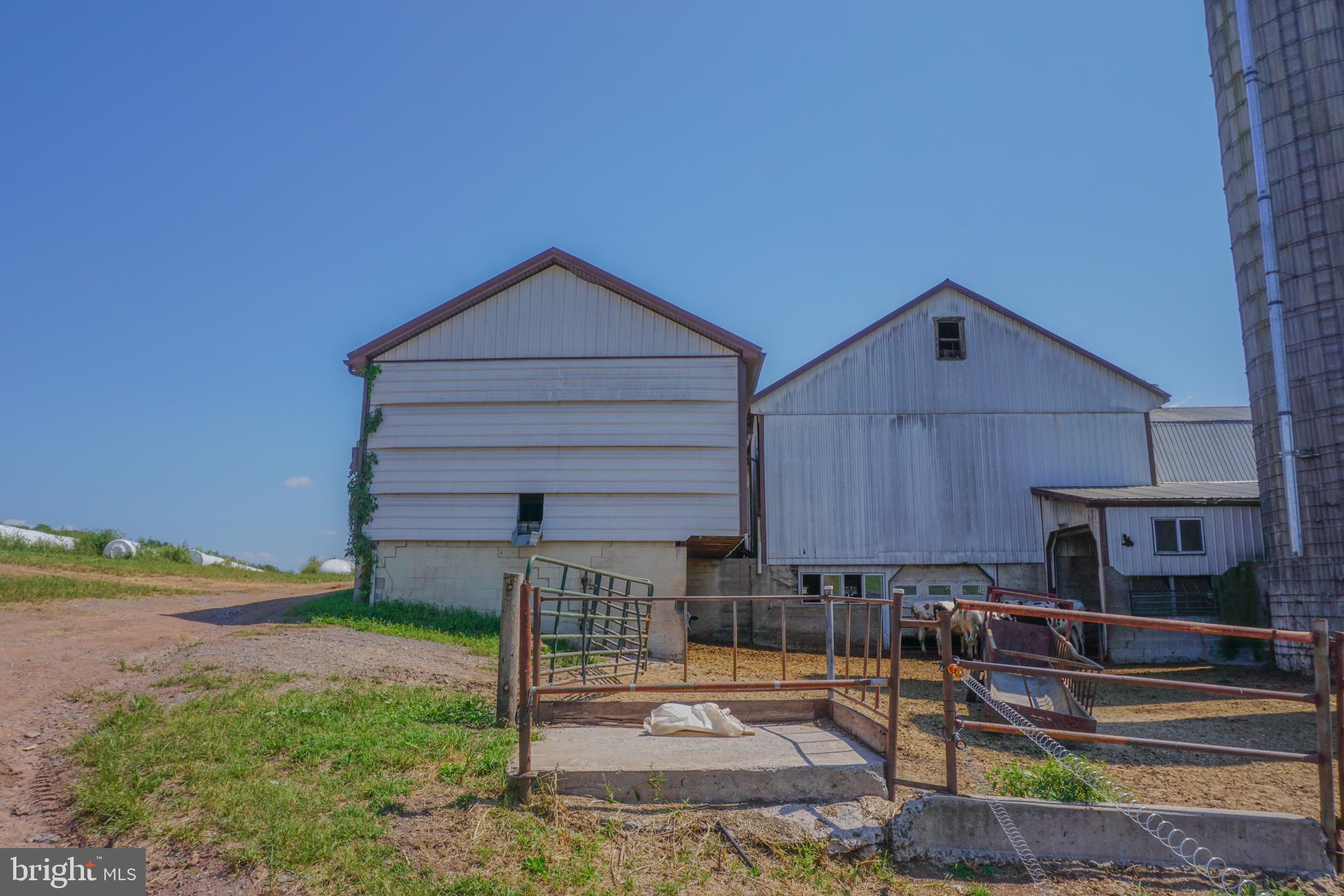 NONE AVAILABLE - Farm