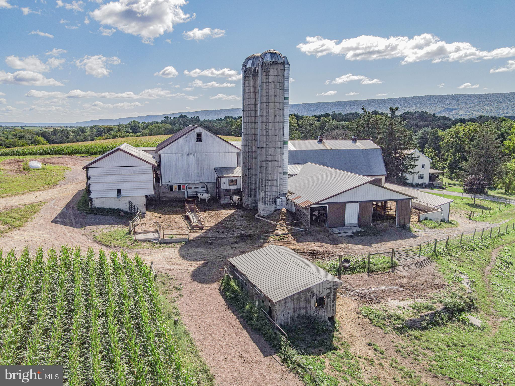 NONE AVAILABLE - Farm