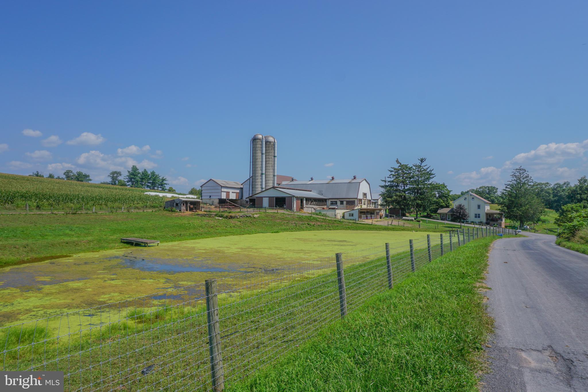 NONE AVAILABLE - Farm