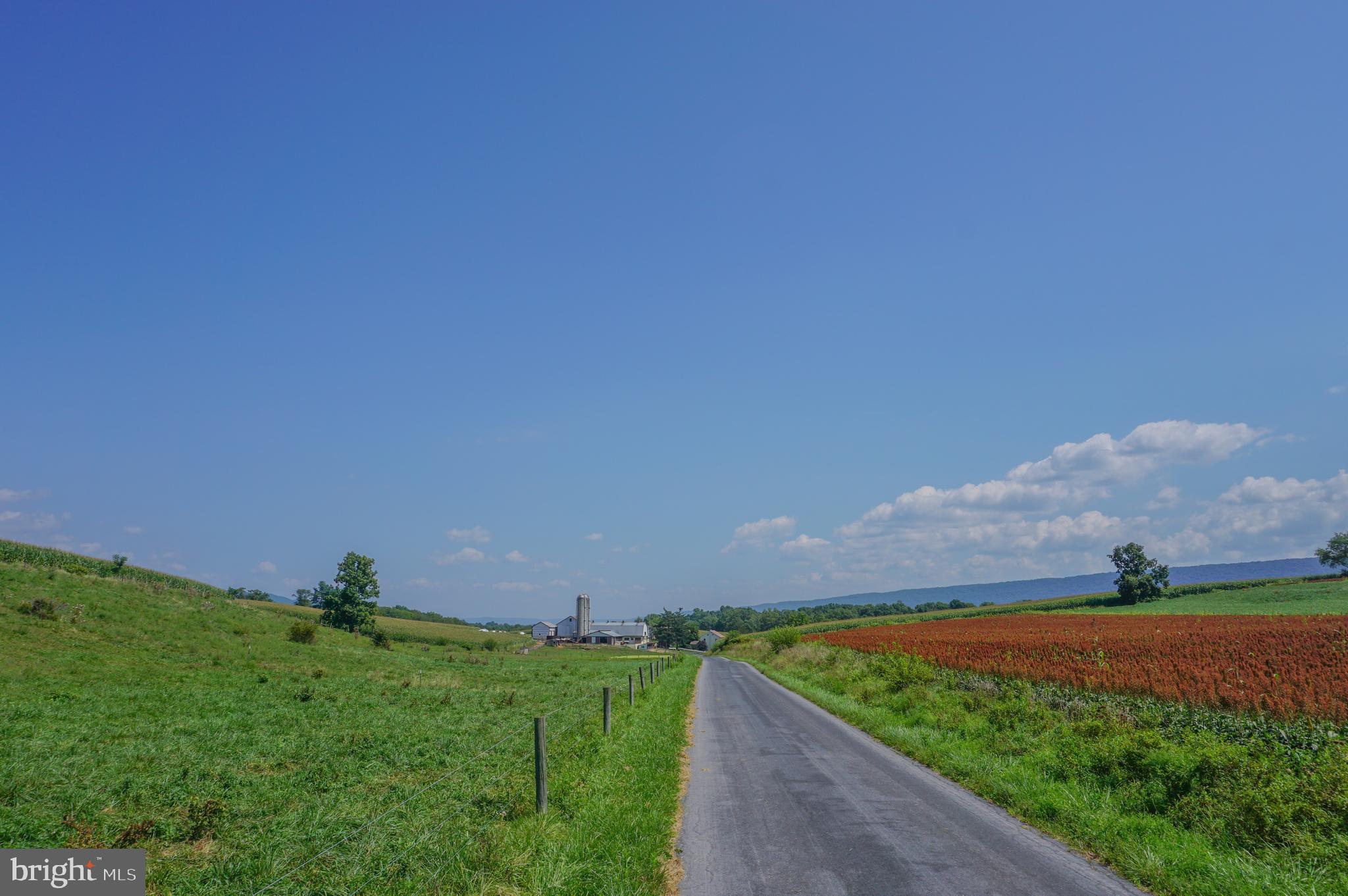 NONE AVAILABLE - Farm