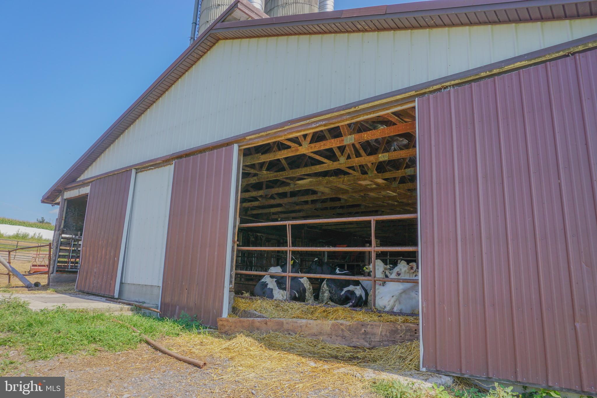 NONE AVAILABLE - Farm