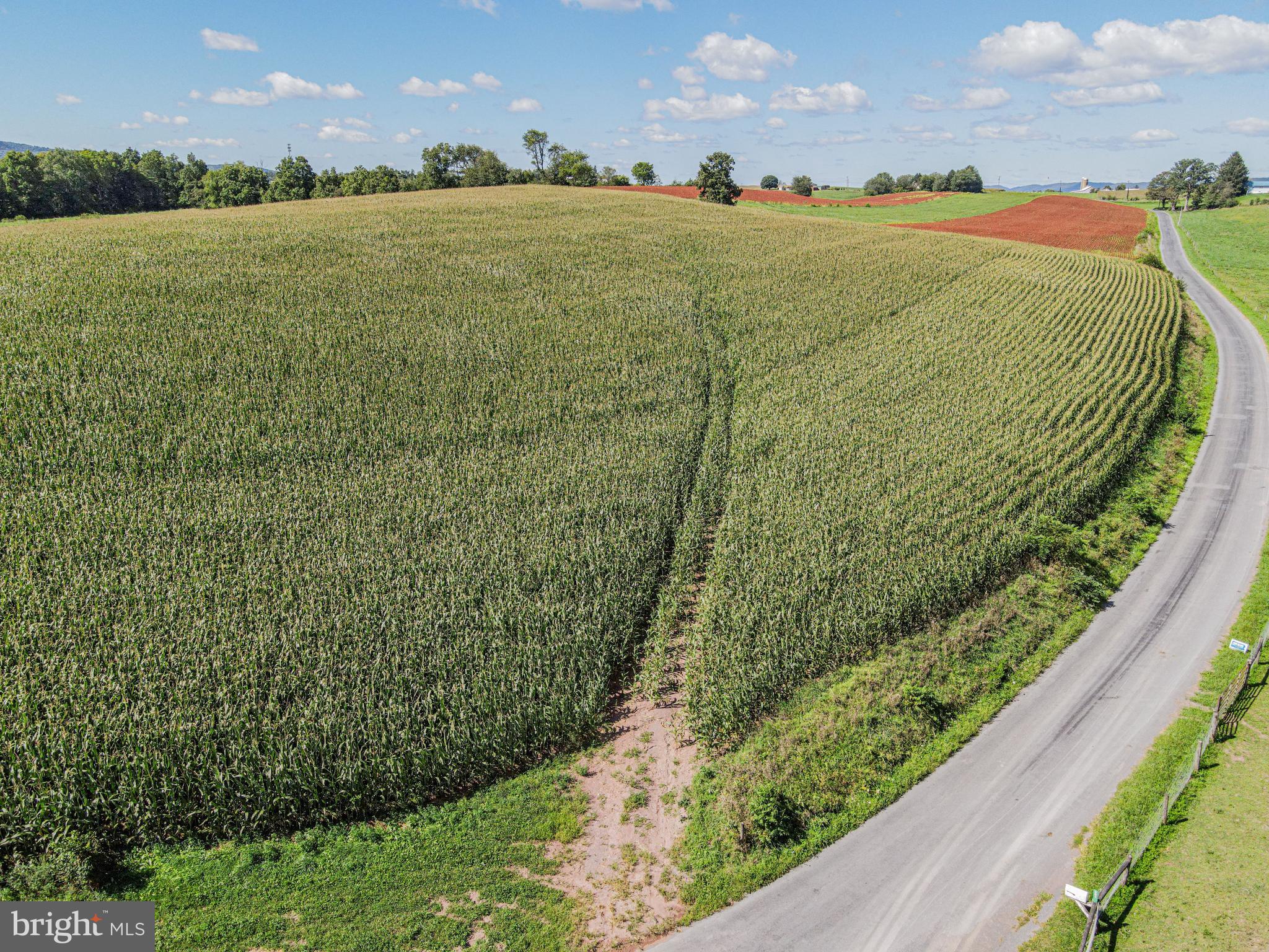 NONE AVAILABLE - Farm