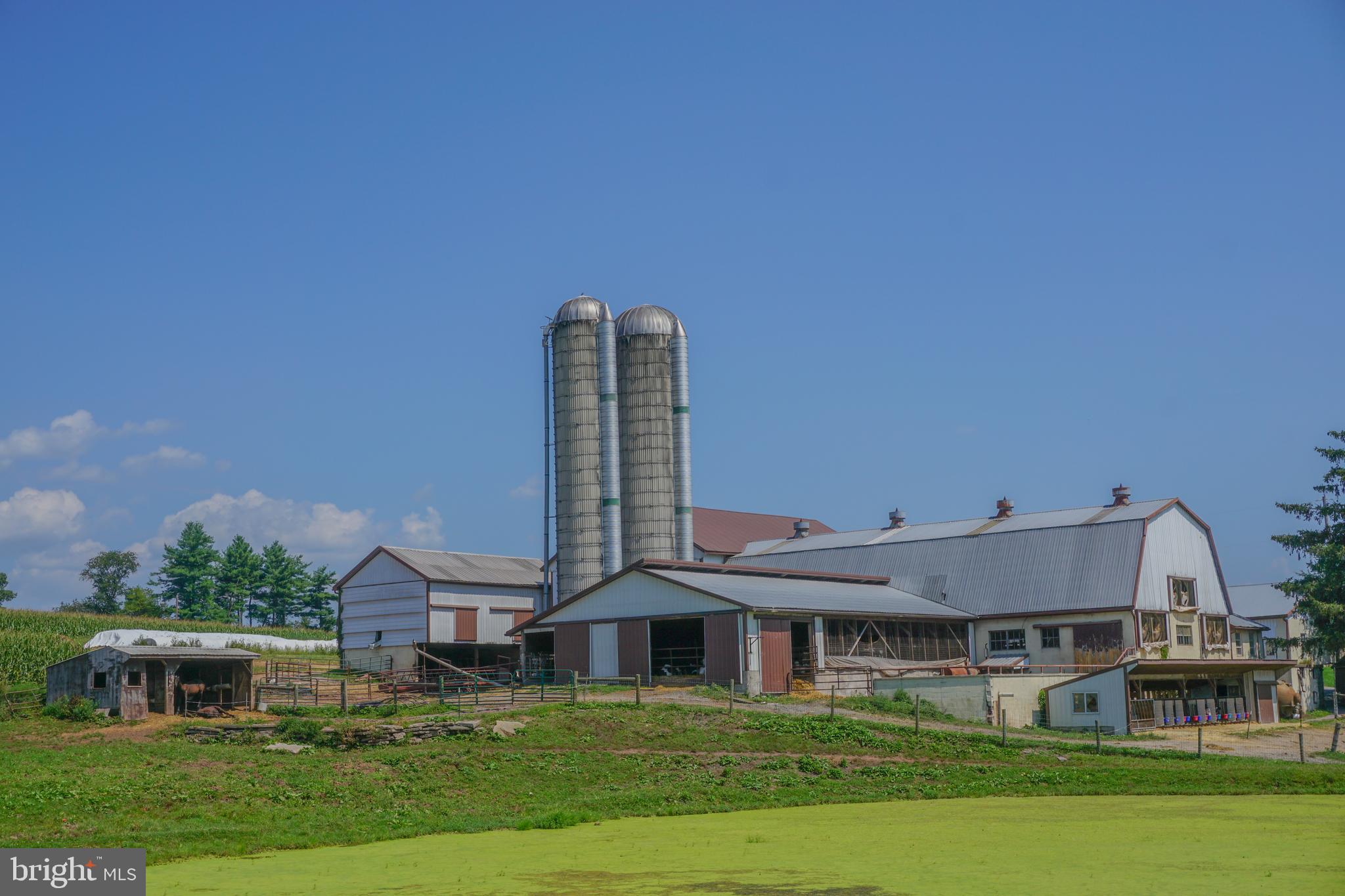 NONE AVAILABLE - Farm