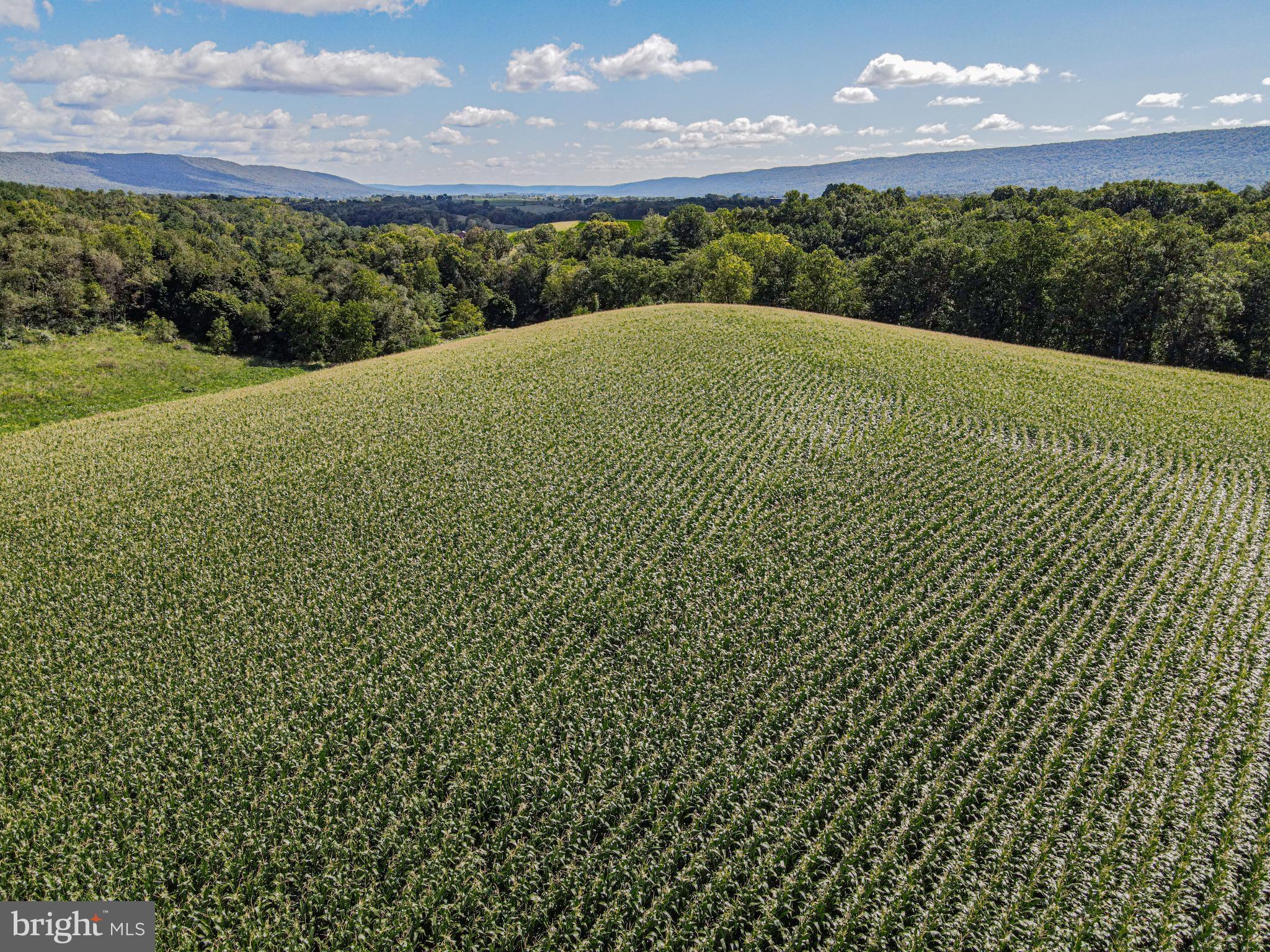 NONE AVAILABLE - Farm