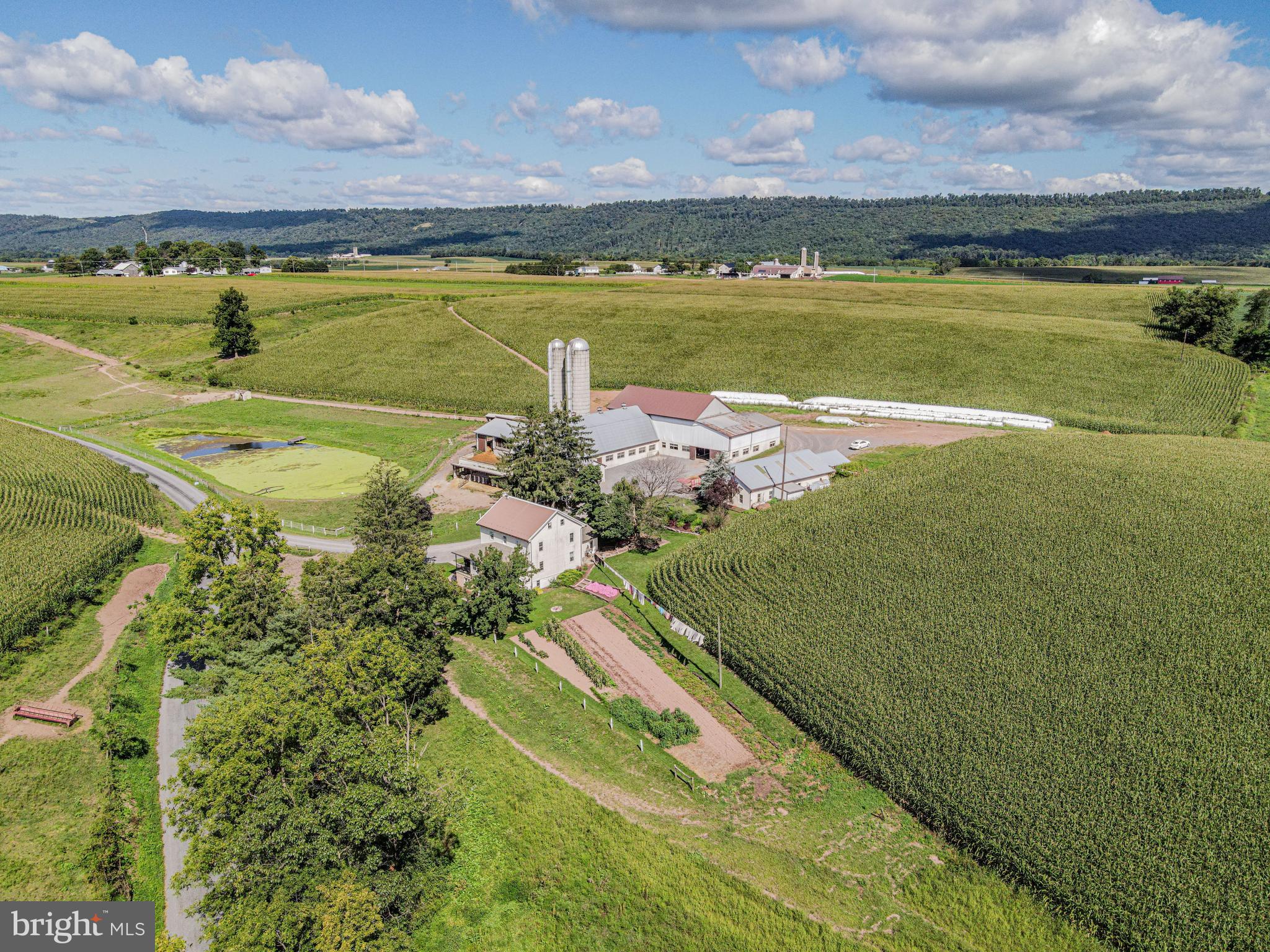 NONE AVAILABLE - Farm