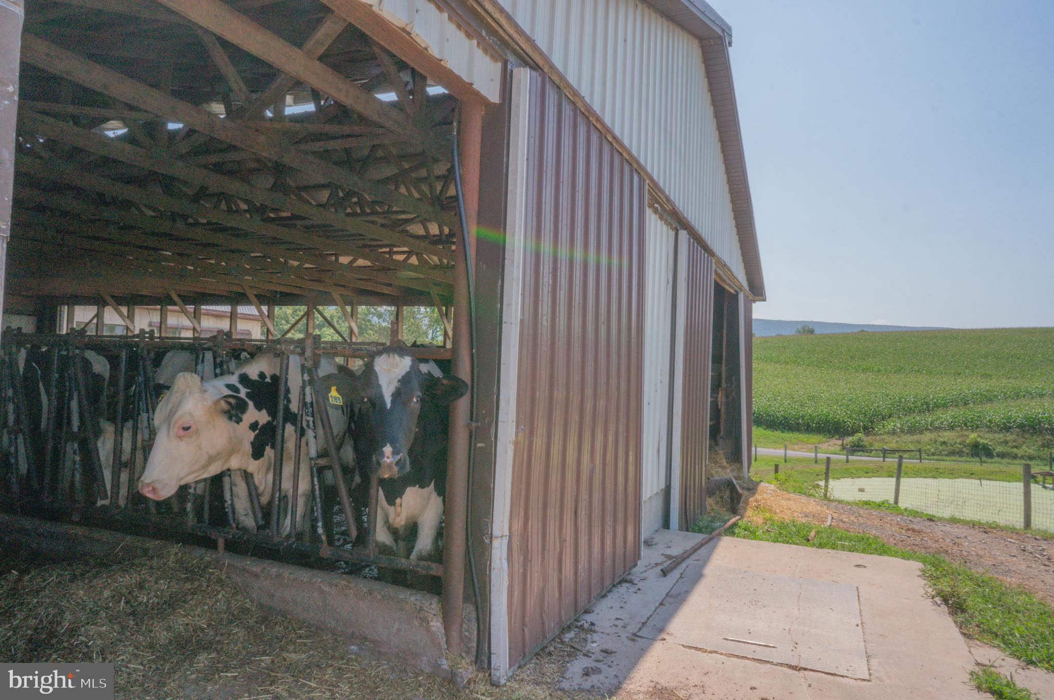 NONE AVAILABLE - Farm