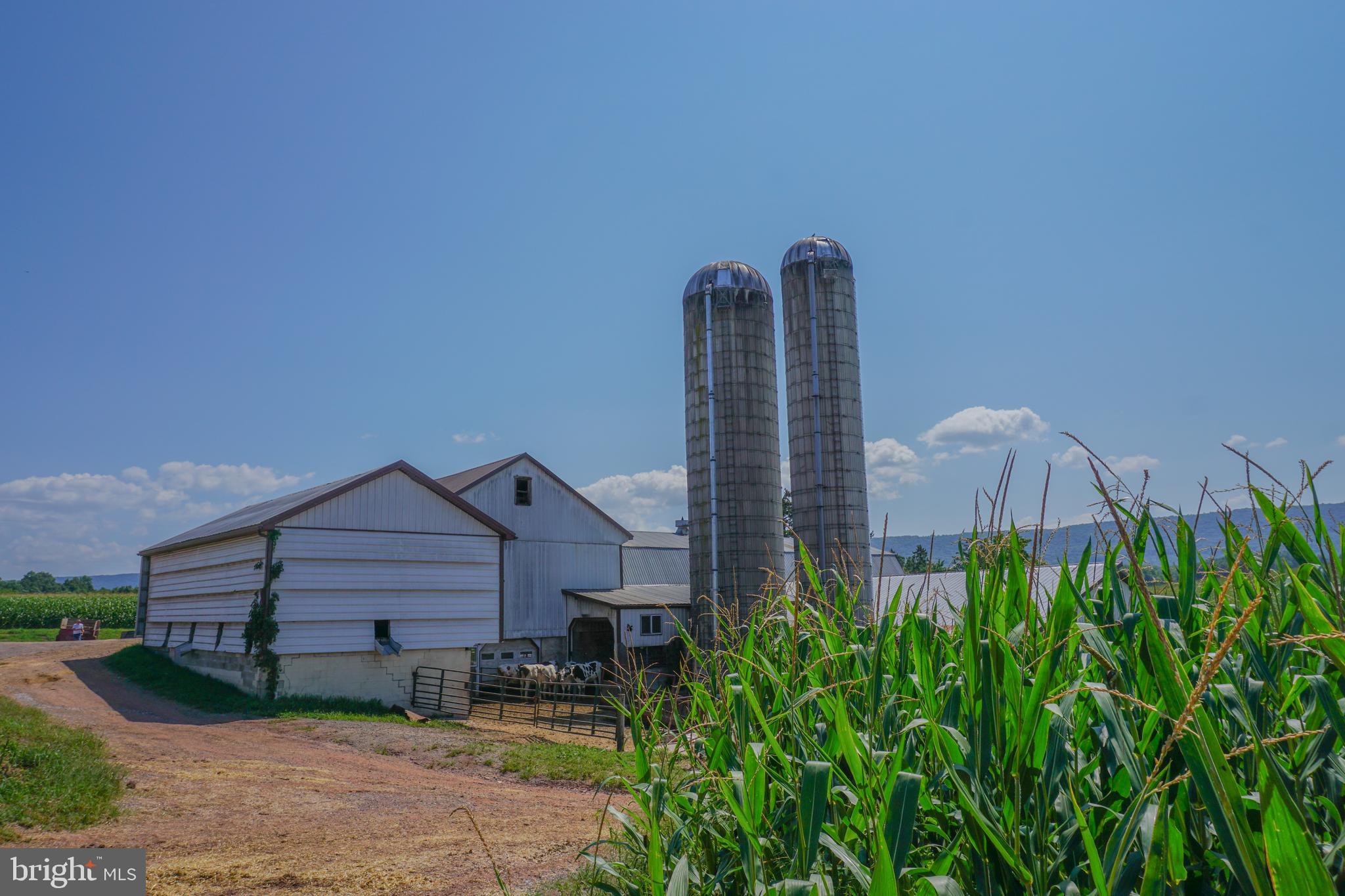 NONE AVAILABLE - Farm