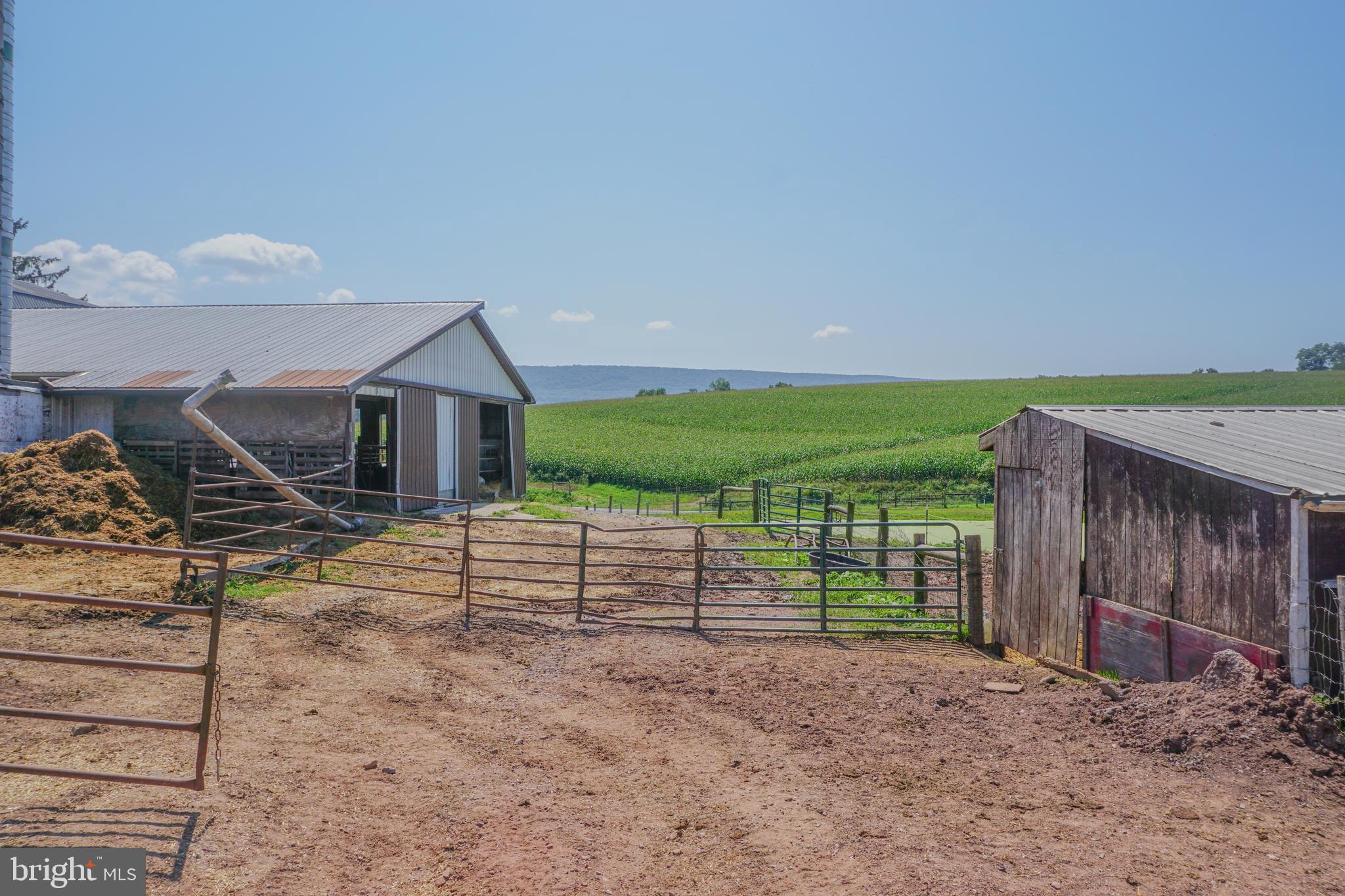 NONE AVAILABLE - Farm