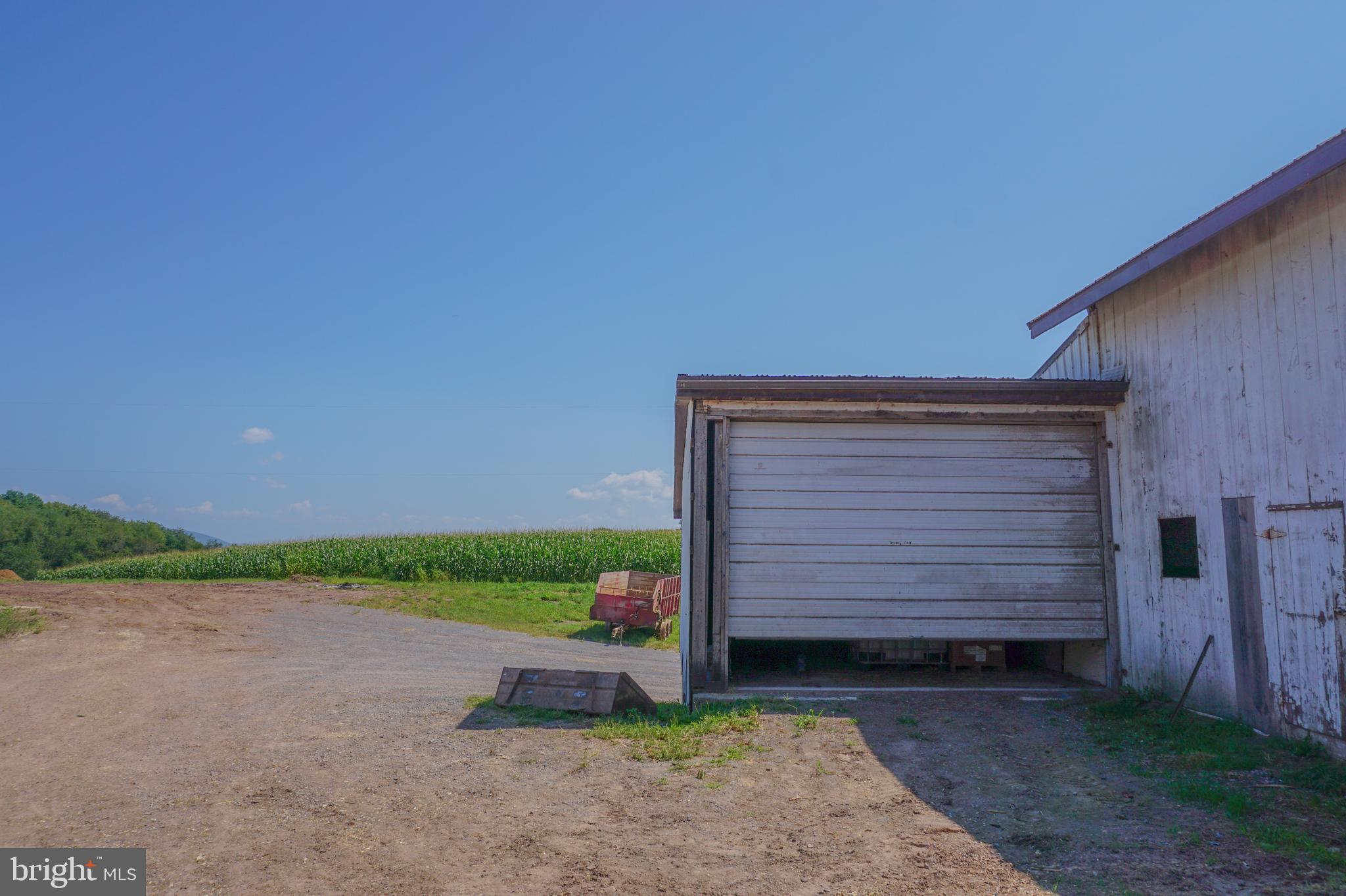 NONE AVAILABLE - Farm