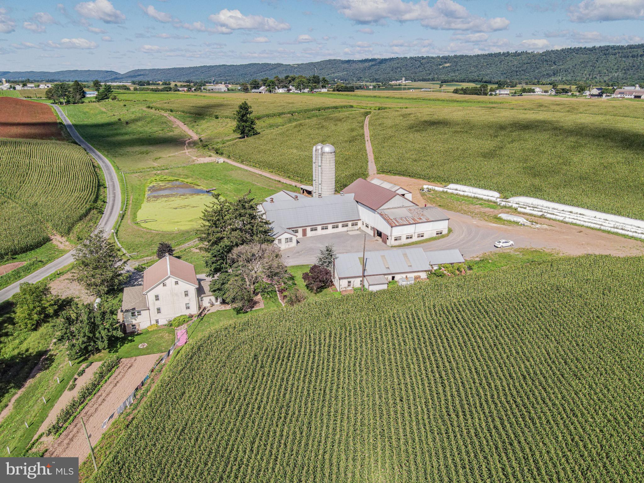 NONE AVAILABLE - Farm