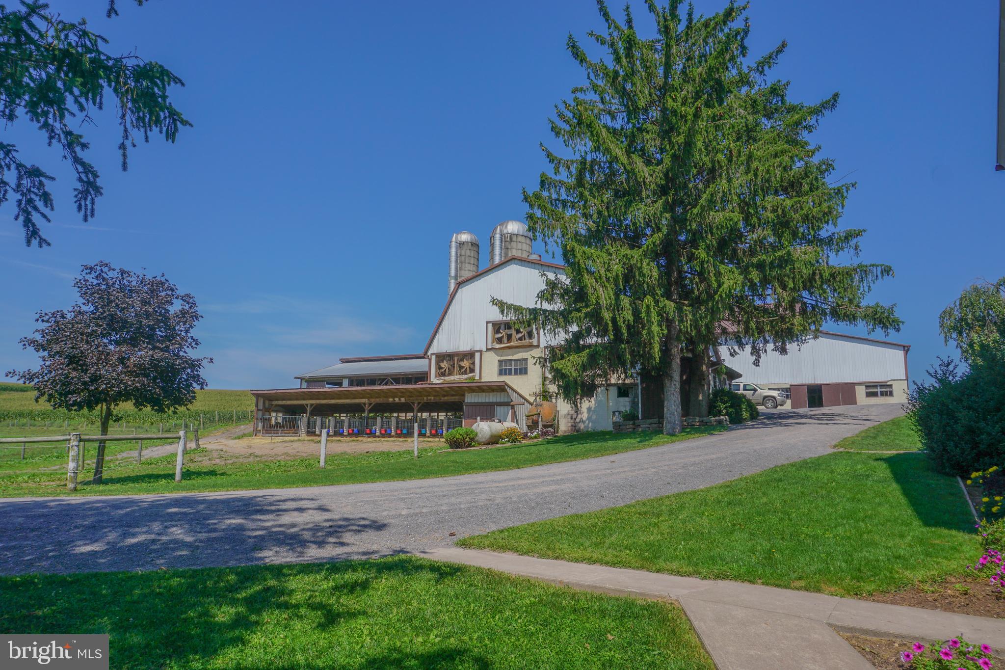 NONE AVAILABLE - Farm