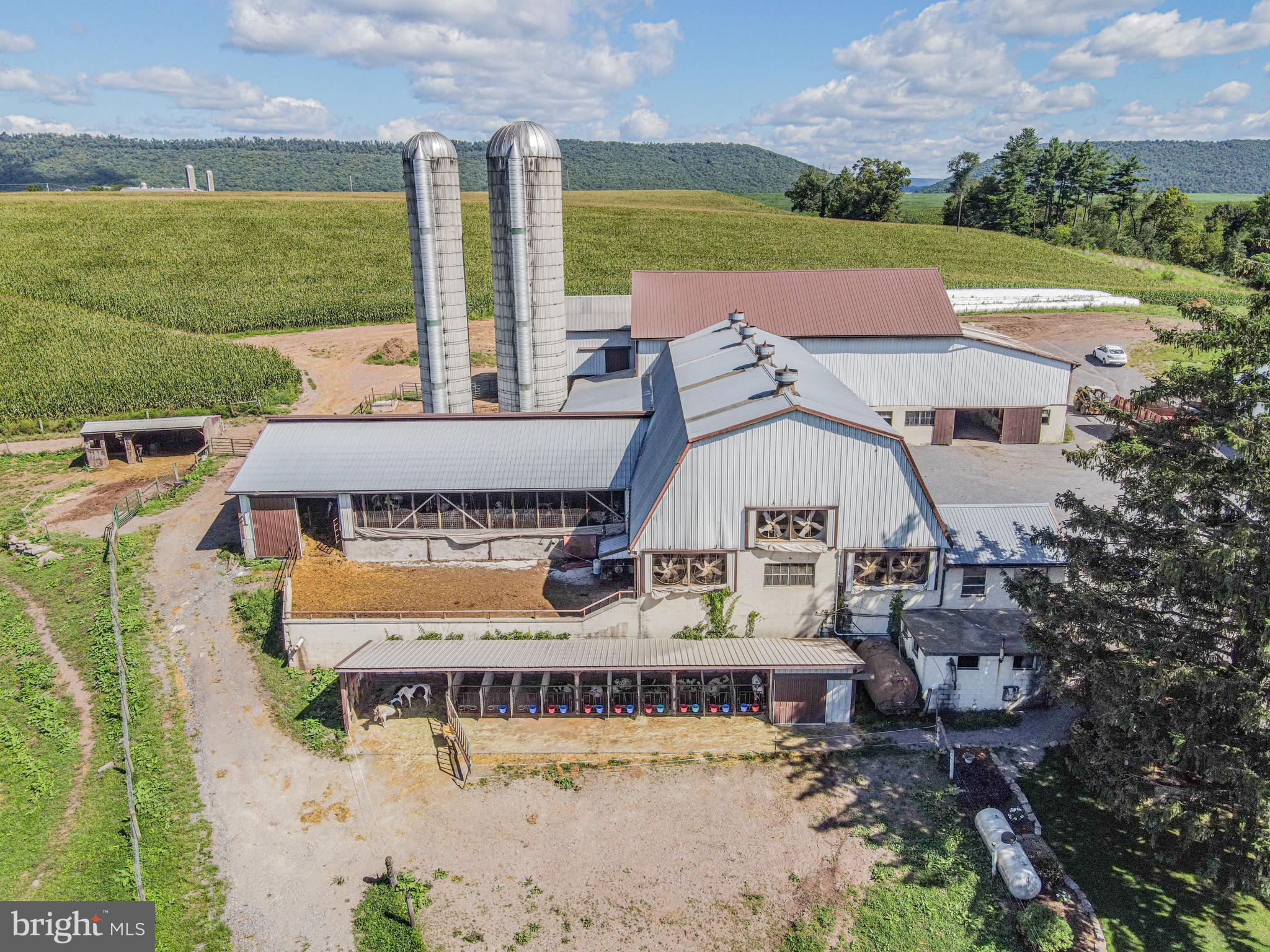 NONE AVAILABLE - Farm