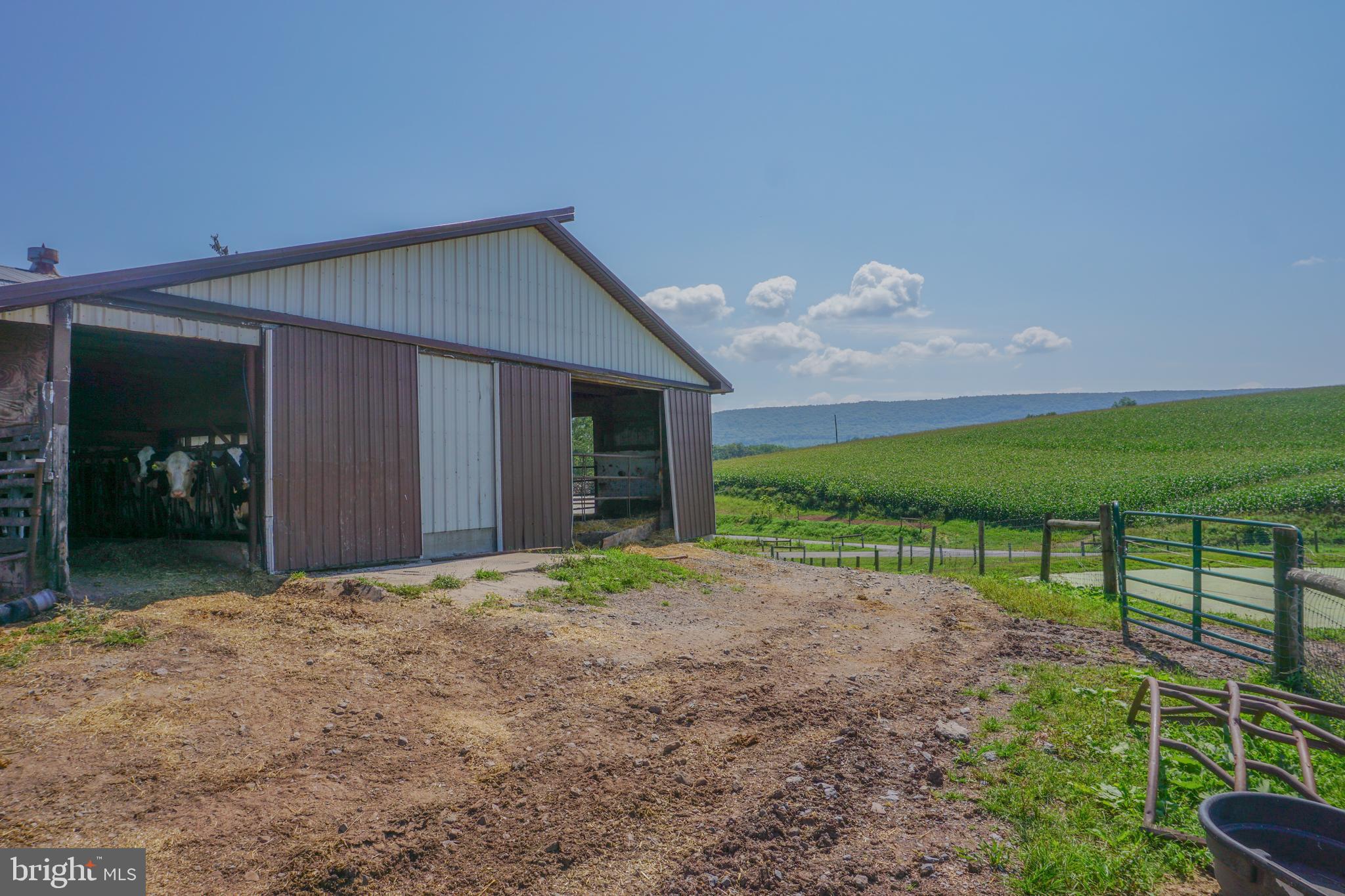 NONE AVAILABLE - Farm