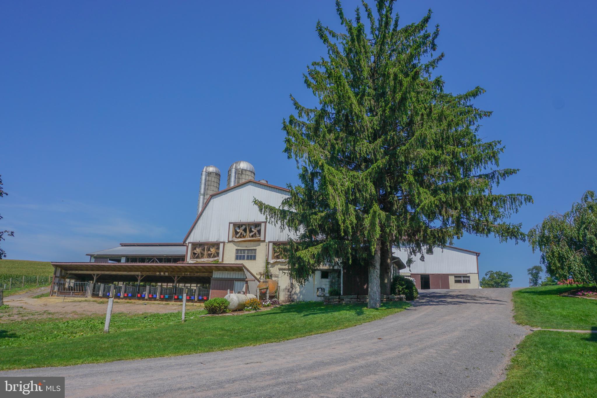 NONE AVAILABLE - Farm