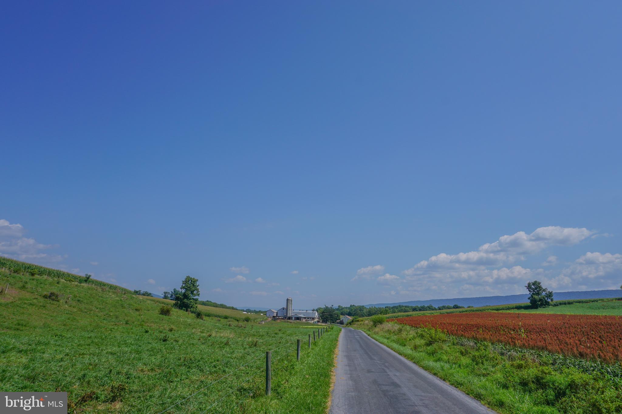 NONE AVAILABLE - Farm