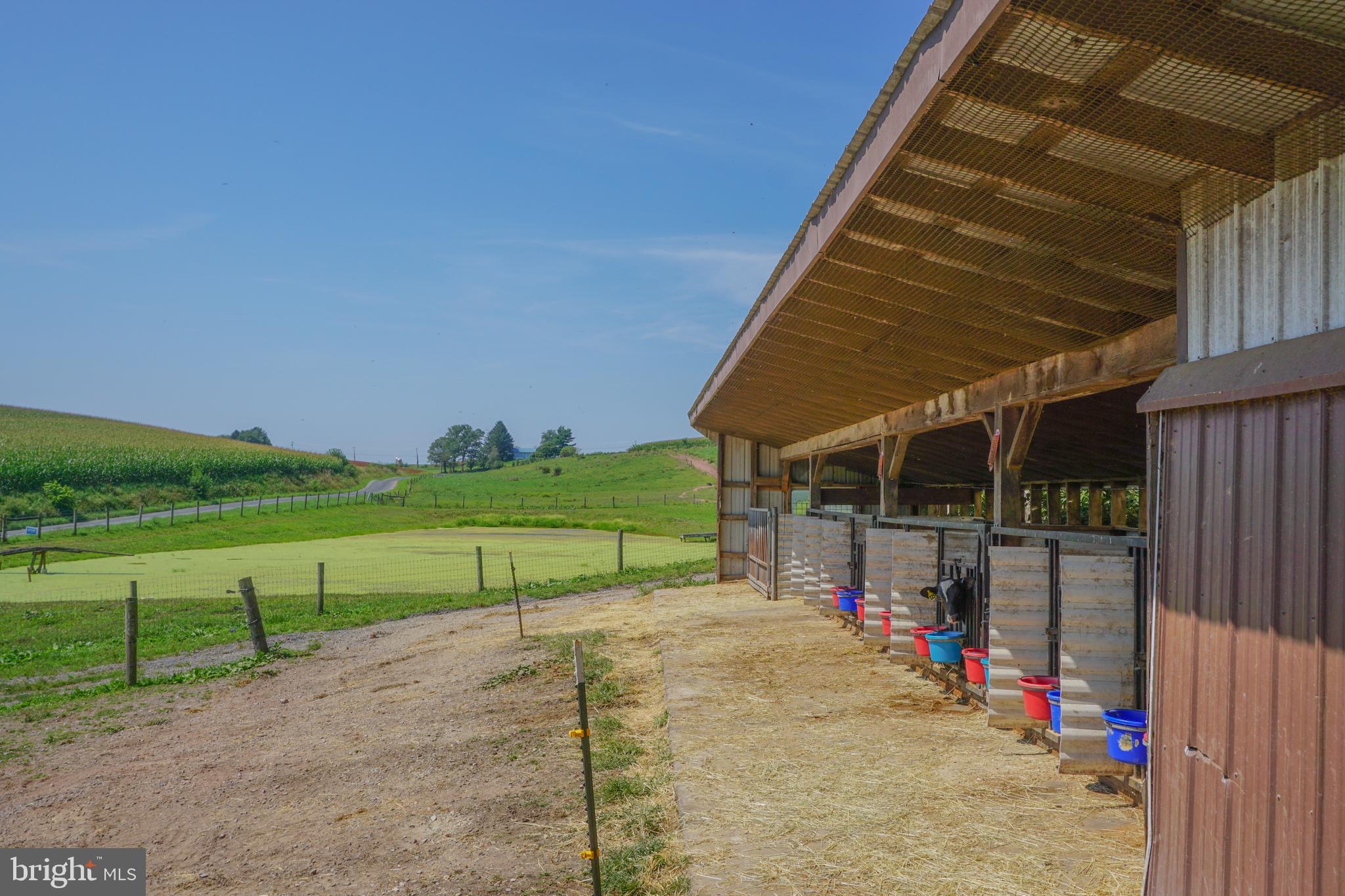 NONE AVAILABLE - Farm