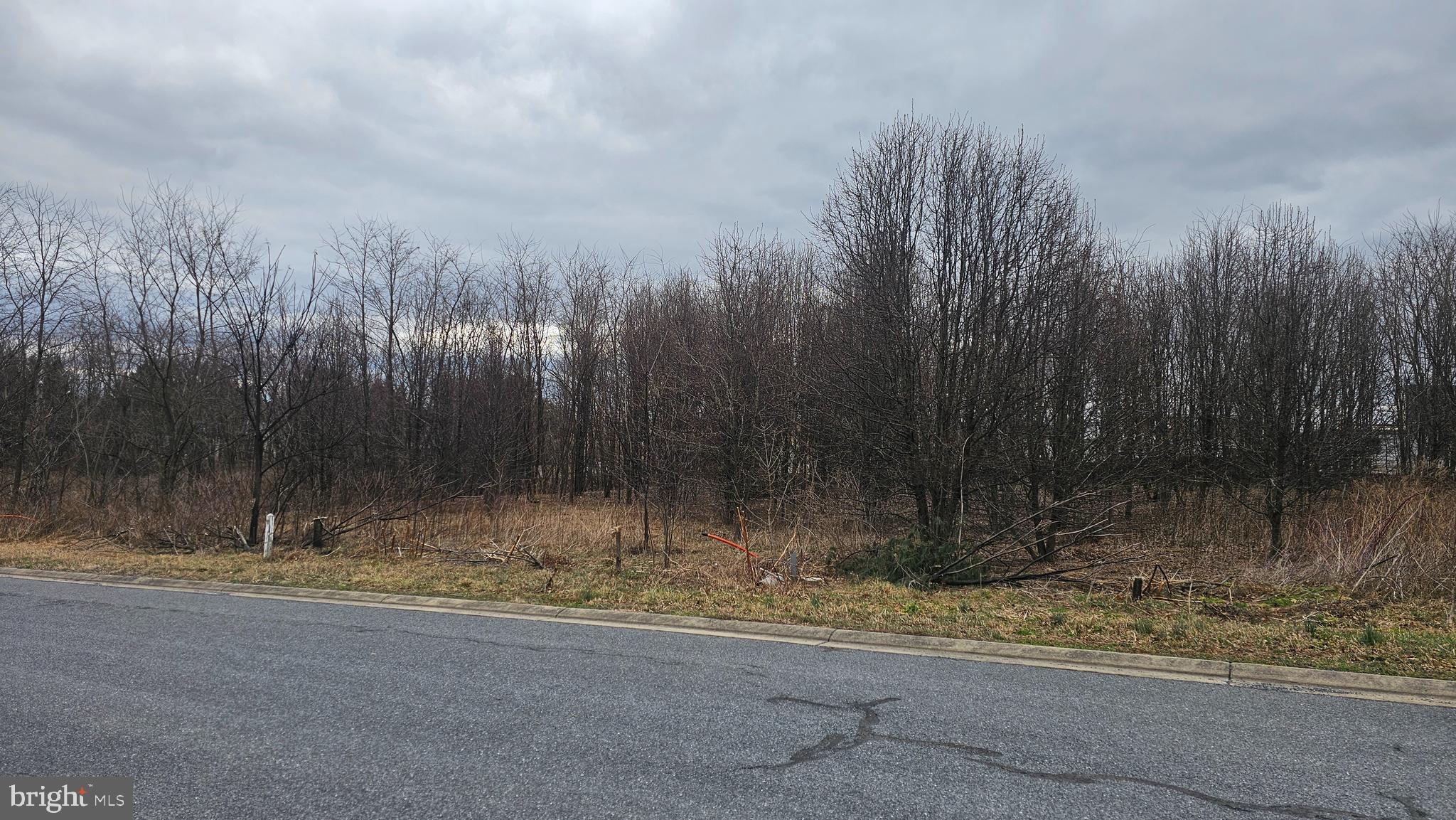 LOT 16 BUCHANAN DRIVE