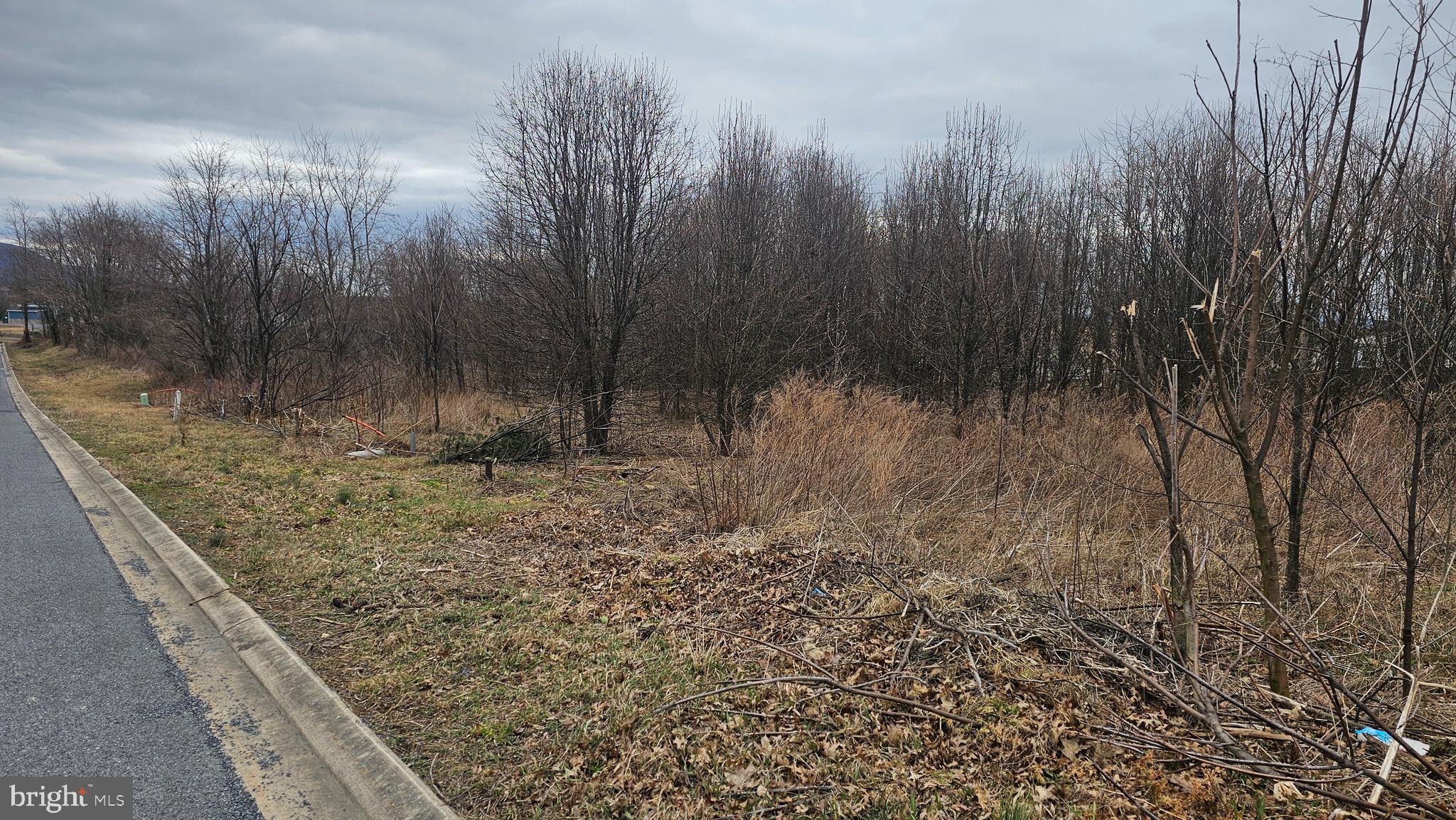 LOT 16 BUCHANAN DRIVE