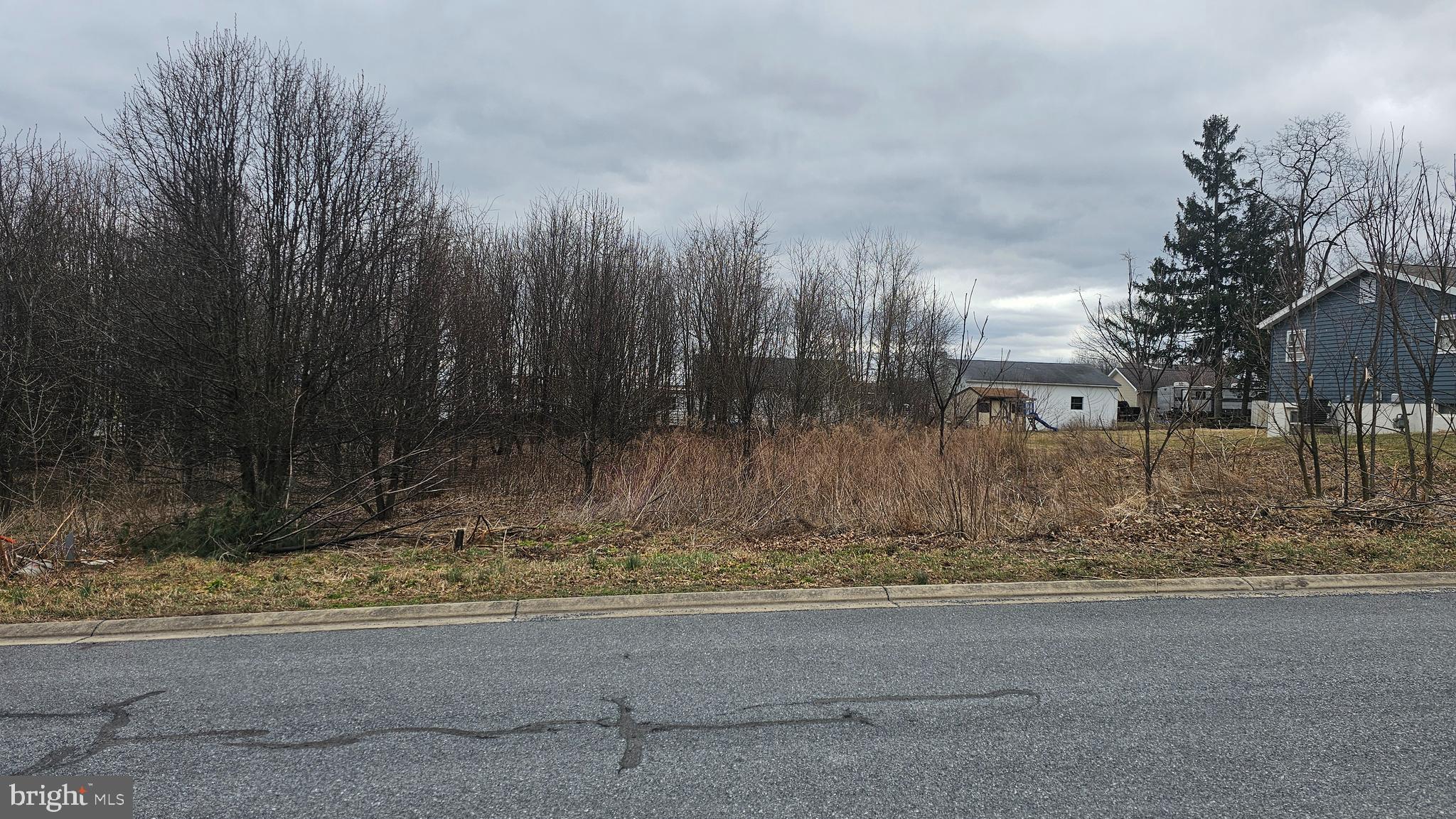 LOT 16 BUCHANAN DRIVE