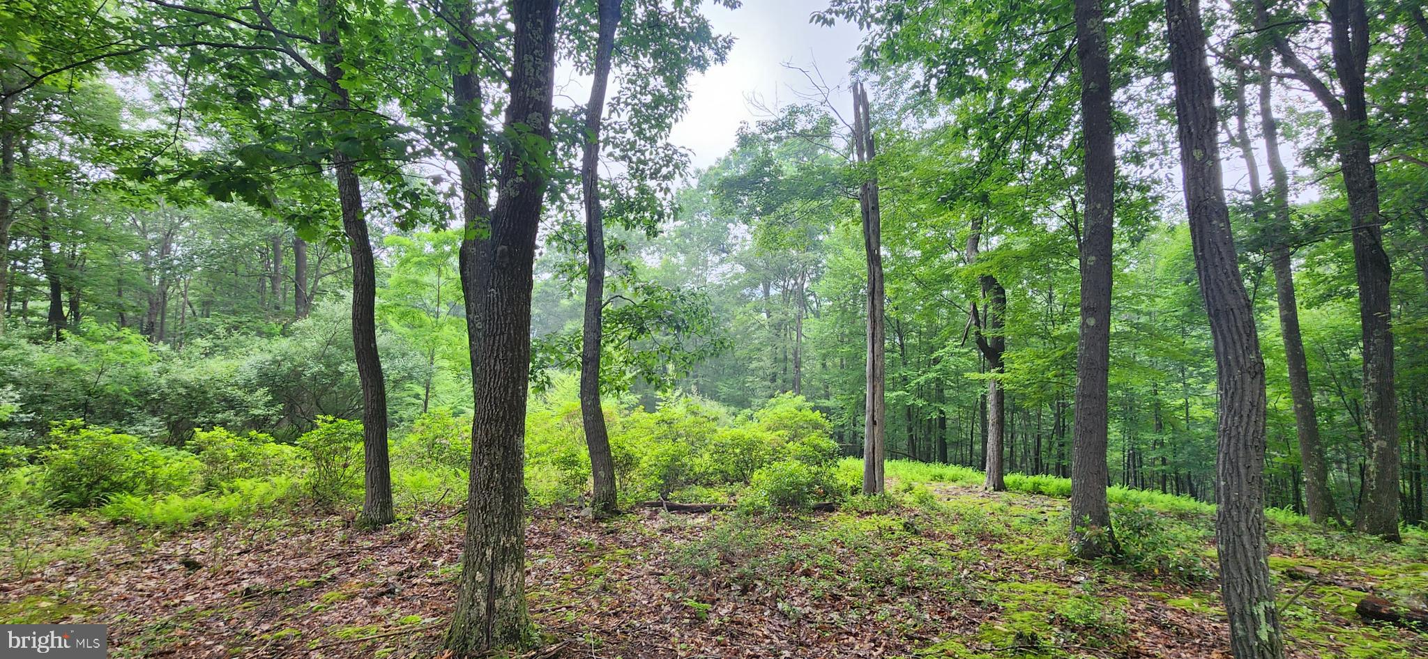 Lot 11 is a GORGEOUS 2+ acre lot in the Gleanings Village, a log home community at Deep Creek Lake! Partially cleared, you will love the setting of mountain laurel, ferns & moss-covered rocks underneath massive hardwoods. Its hard to imagine a better setting for a cabin in the woods! Close proximity to everything that Deep Creek offers - white water rafting, skiing & golfing at Wisp & Lodestone golf course, marinas, entertainment & shopping, all within a few miles! Don't squeeze your home onto tiny lot in a subdivision with little to no privacy. If you have never explored this neighborhood, you owe it to yourself to drive through and experience the captivating charm and character of the Gleanings! Architectural review committee must approve but cedar or log siding is currently acceptable if not a true log home.