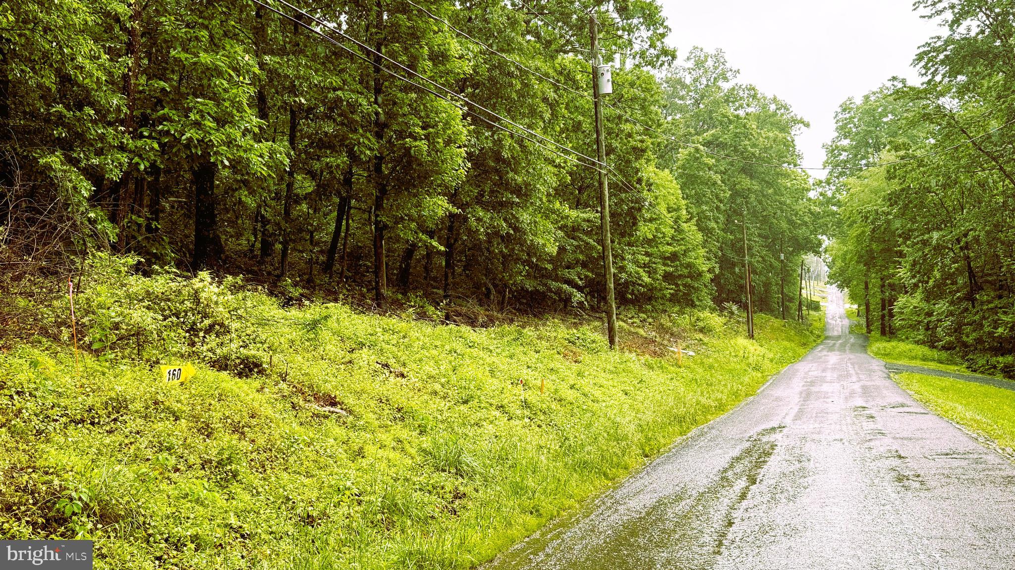 LOT 160 HAWK TRAIL 142