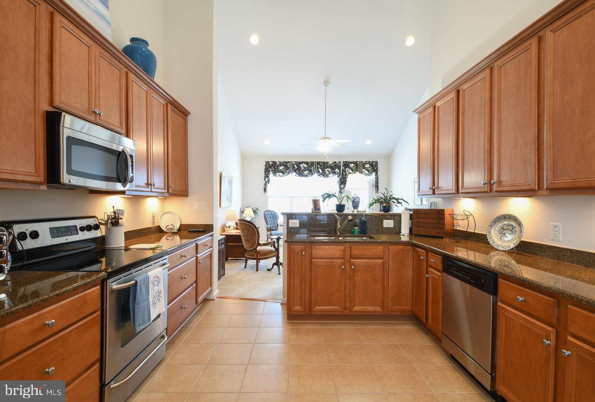 VILLAS AT SNOWDEN - Residential