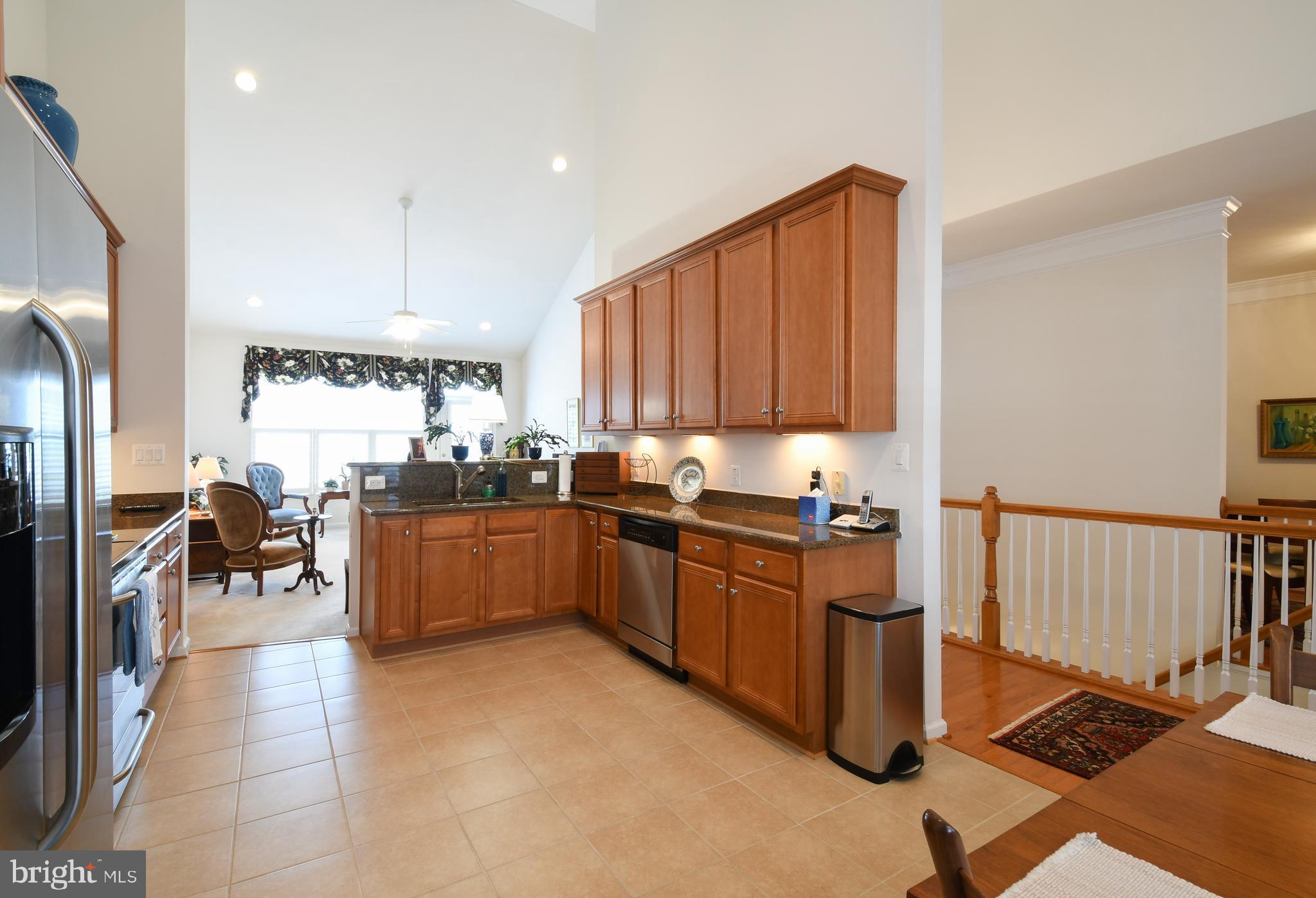 VILLAS AT SNOWDEN - Residential