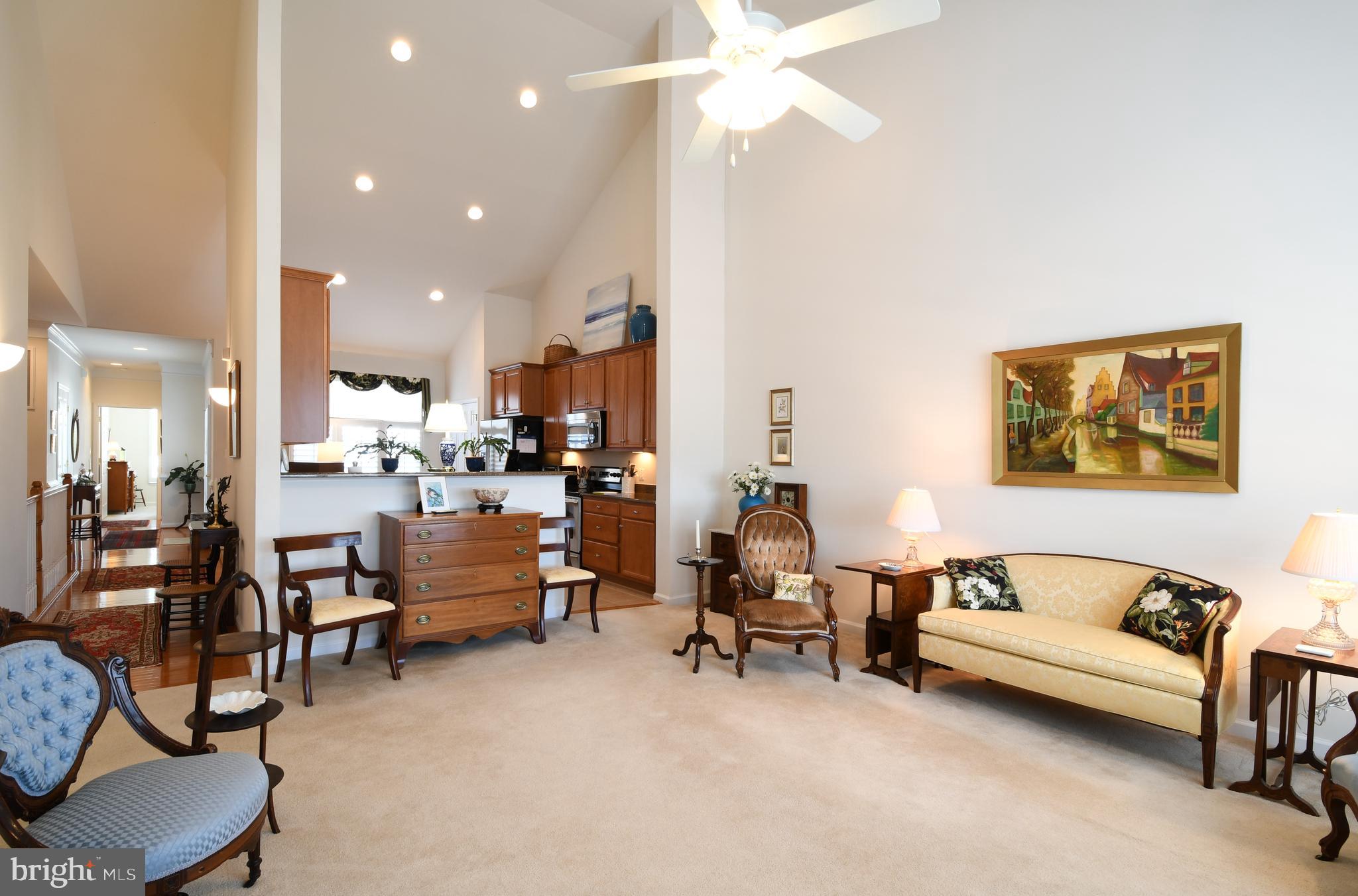 VILLAS AT SNOWDEN - Residential