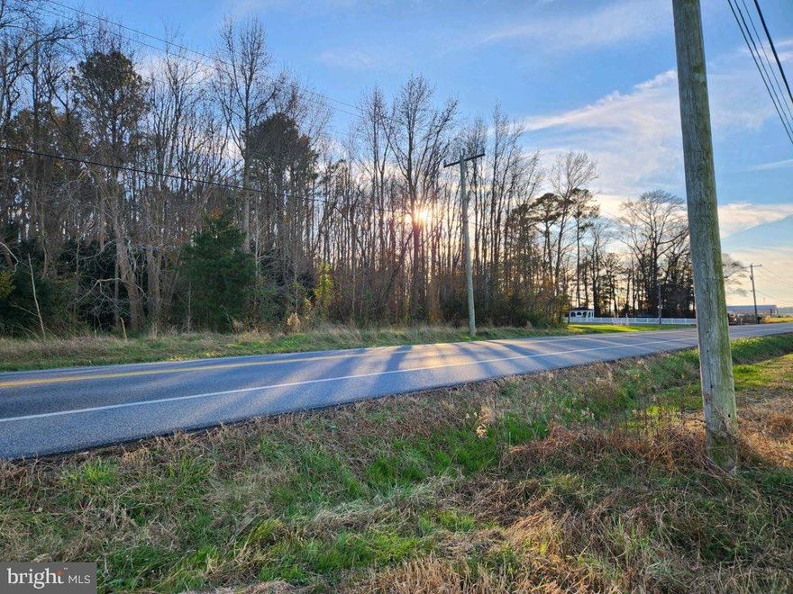 Over two and a half acres located in Wicomico County! Only twenty minutes to Salisbury and only twenty minutes to Ocean City. This lot provides easy access to all the main hubs of Maryland and is under ten minutes away from the Delaware state line! Come see all Old Ocean City Rd has to offer.