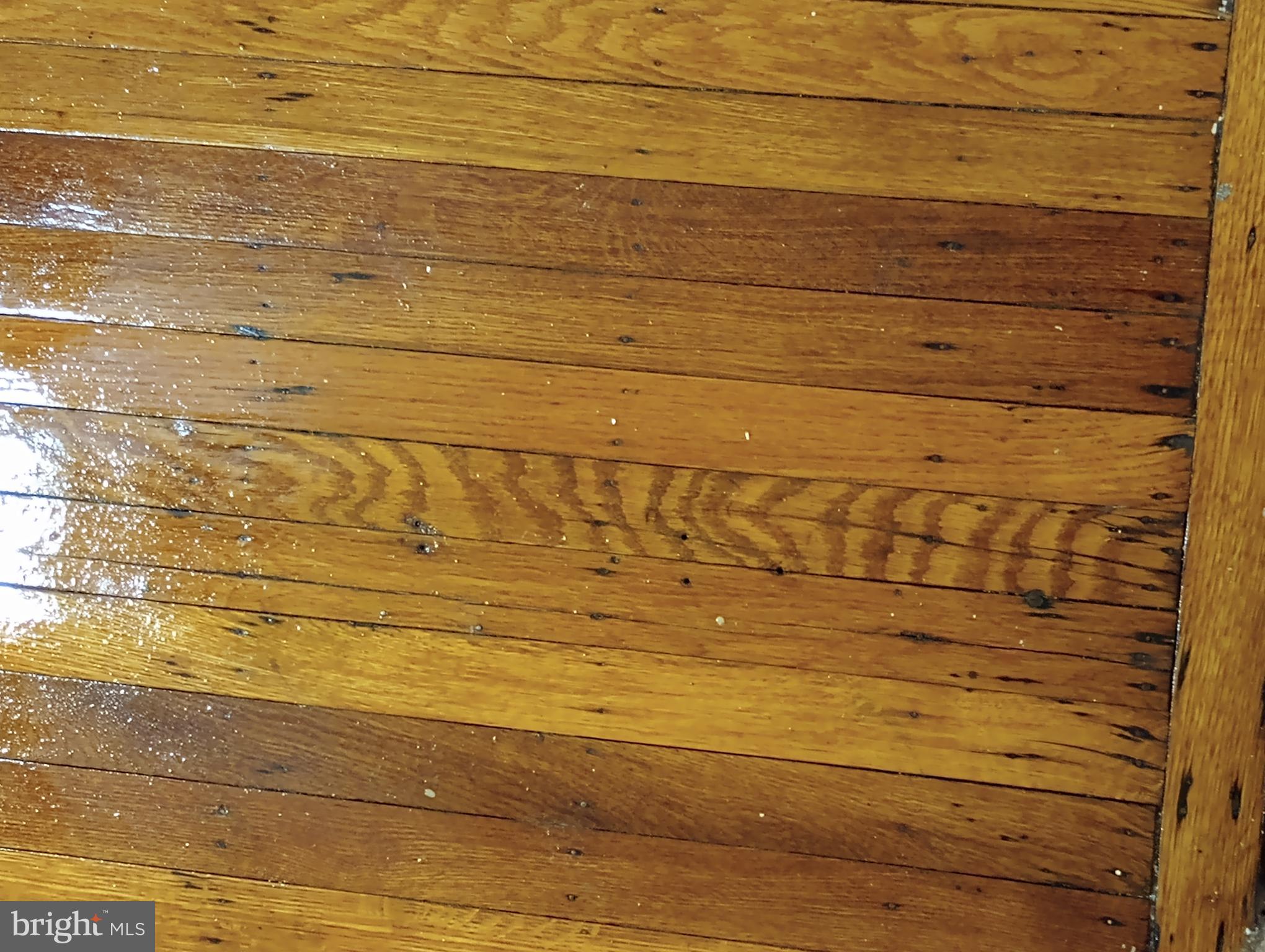 WYNNEFIELD - Residential