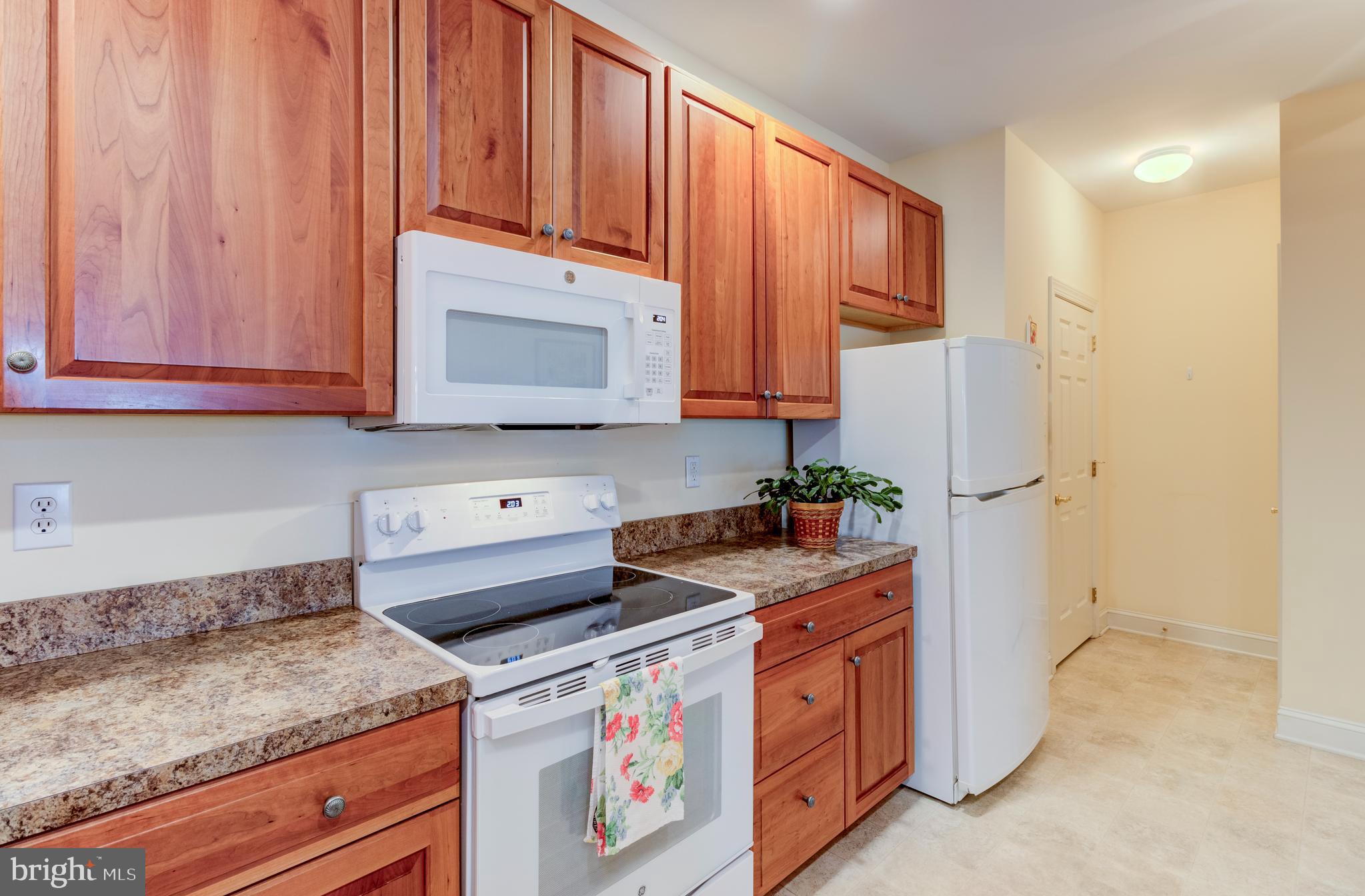 VILLAGE OF ROSE VIEW - Residential