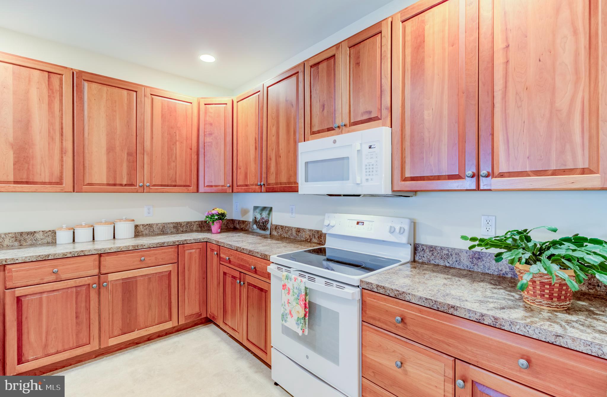 VILLAGE OF ROSE VIEW - Residential