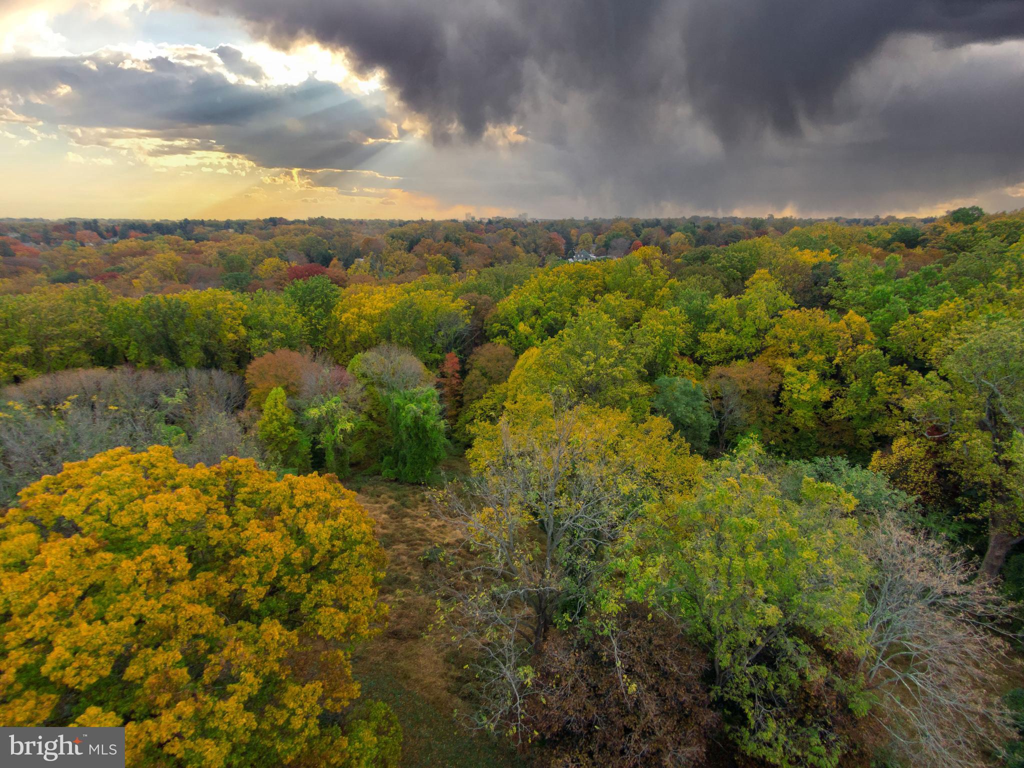 ROLAND PARK - Residential