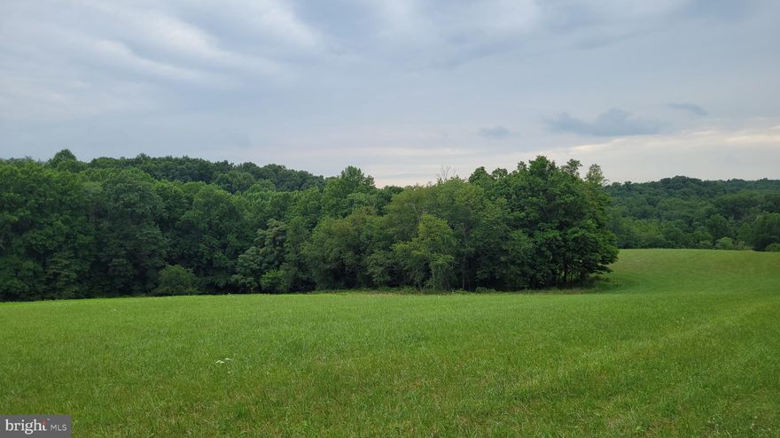Deadline for offers is  noon on Saturday 6/22/24

Absolutely gorgeous 25+ acre property with mix of hayfield and mature surrounding a small stream on site.   Very private setting, no houses or other buildings visible from several potential house locations.   Gently sloping terrain is ideal for a walk out basement.  No shared driveway, no forest conservation easement, no highway noise.   Conveniently located 5 miles north of Mount Airy, and 17 miles from historic downtown Frederick.  This 25 acre parcel is the remainder from the original farm, so it retained the 14216 Peddicord Road address - access will actually be from Talbot Run Road, and the county may change the address to Talbot Run Road (which makes more sense).  This parcel has an existing Potomac Edison transformer on the eastern boundary about 200' from Talbot Run Road, and a Comcast pedestal near the southeastern corner of the property - the Comcast pedestal is a good landmark for estimating the southern boundary of the property.

Perc test approved for a sand mound system on 6/11/24.   Will post perc test approval letter when it's received.   Current price reflects Buyer installing well in location of buyer's choice after settlement - Seller will consider installing well but price will likely increase due to cost of well and delay in settlement date.  Seller will pay the ag transfer tax on a one acre home site, Buyer shall execute a declaration of intent to keep the balance of the property (24.5 acres)  in agricultural use, or pay the ag transfer tax on the 24.6 acres.