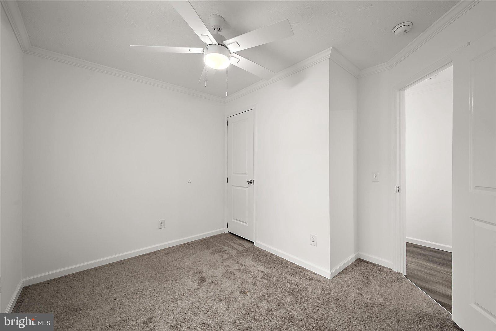 SALT LIFE PARK LLC - Residential