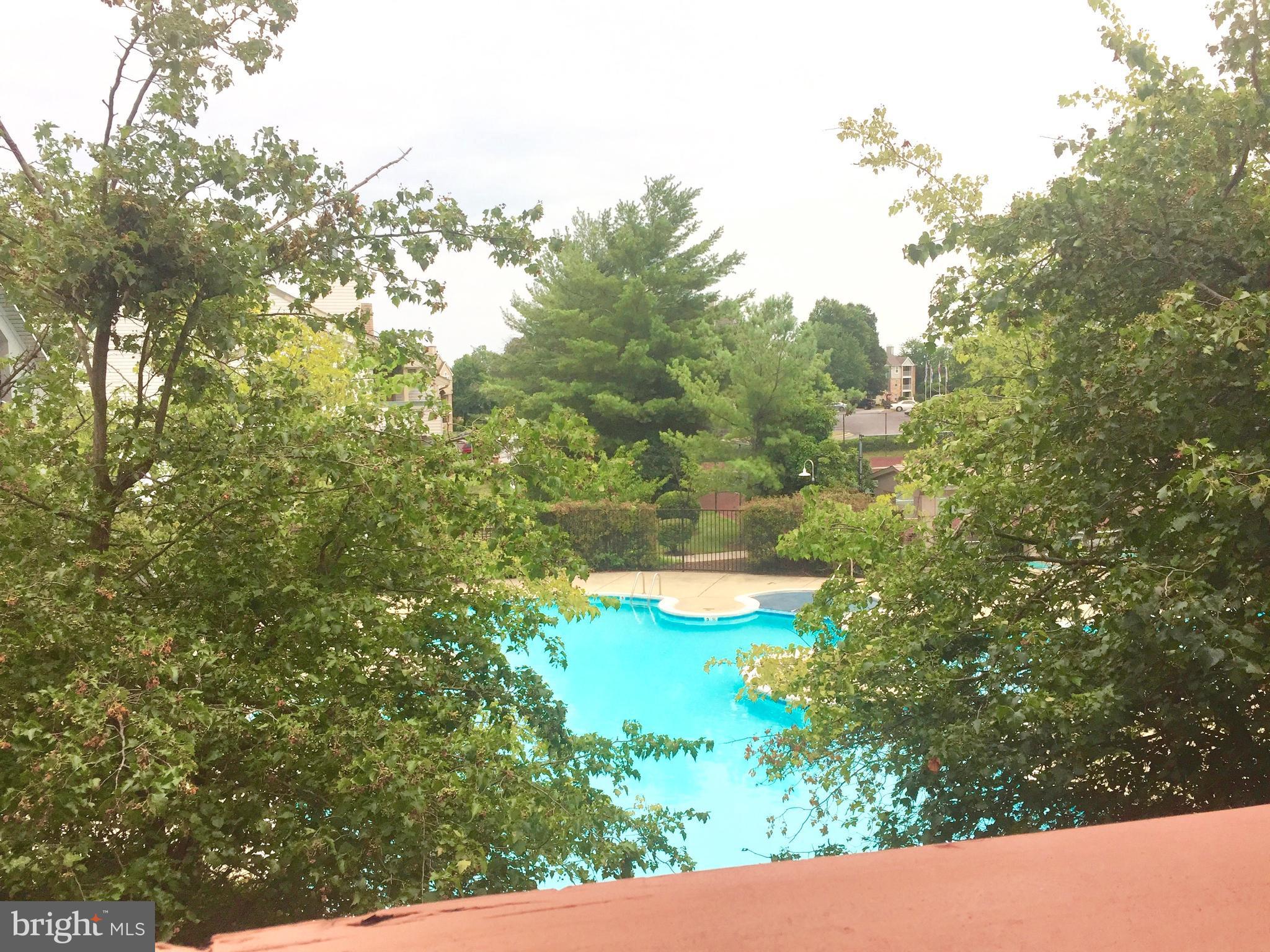 BRIDGEPORT CONDO-PHASE 6 - Residential Lease