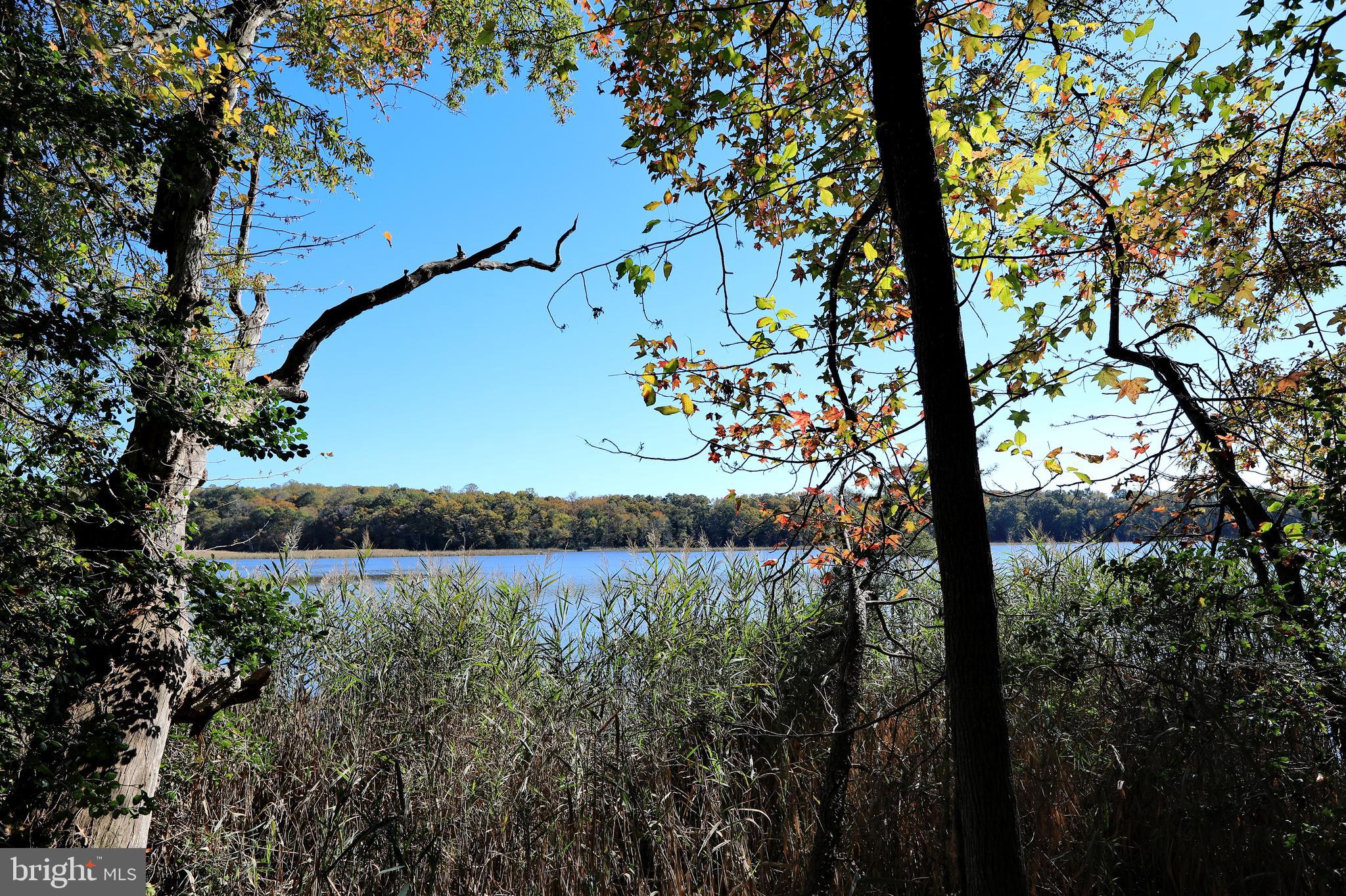 LA PLATA - Residential