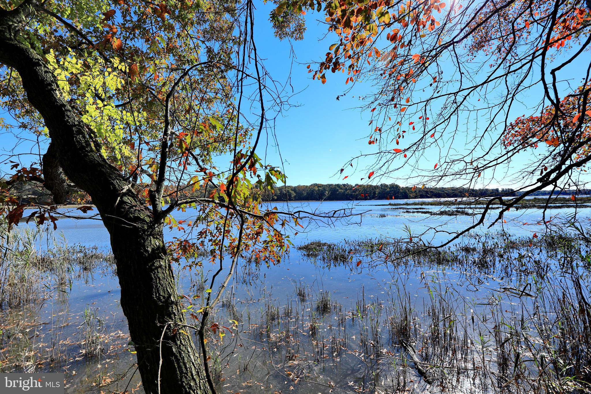 LA PLATA - Residential