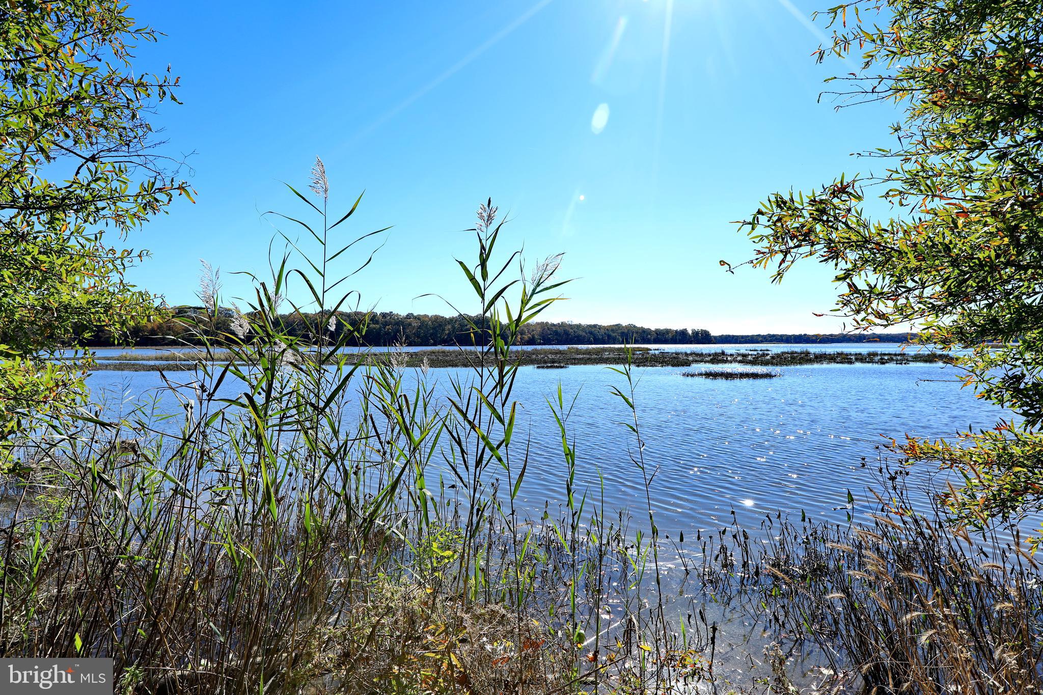 LA PLATA - Residential
