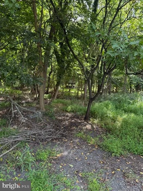 50 Saint Paul Street Unit LOT 4, Boonsboro, MD, 21713