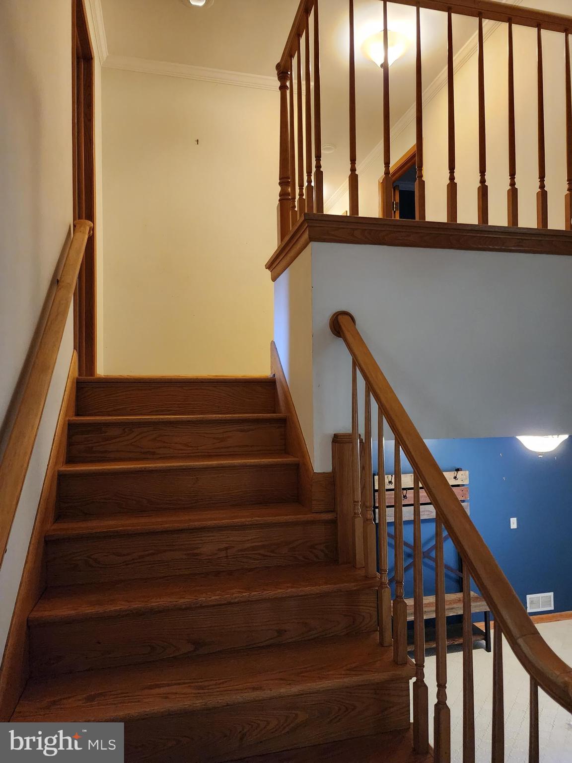 BEL AIR - Residential