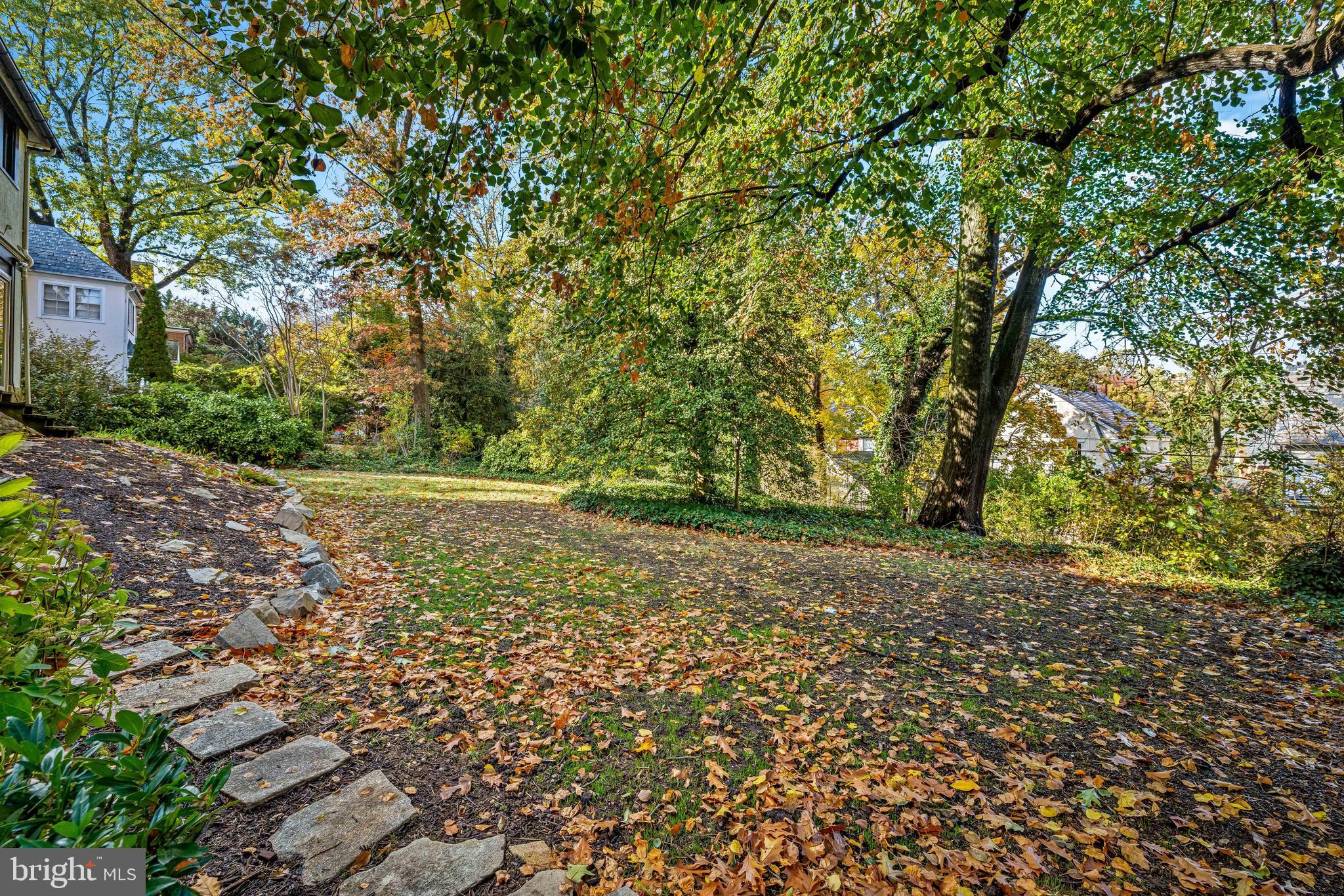 ROLAND PARK - Residential