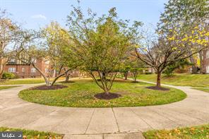 PETWORTH - Residential