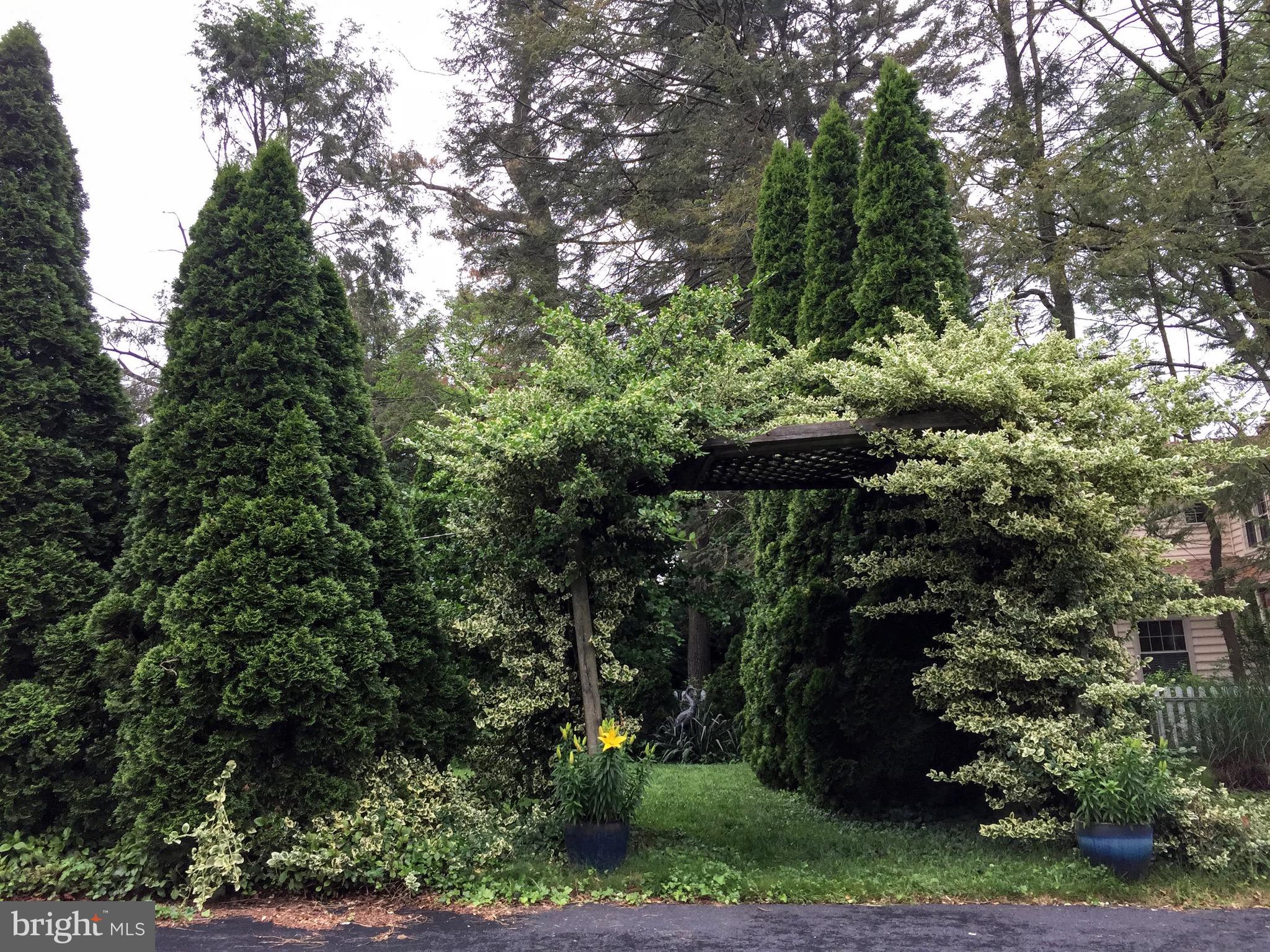 WILTONDALE - Residential