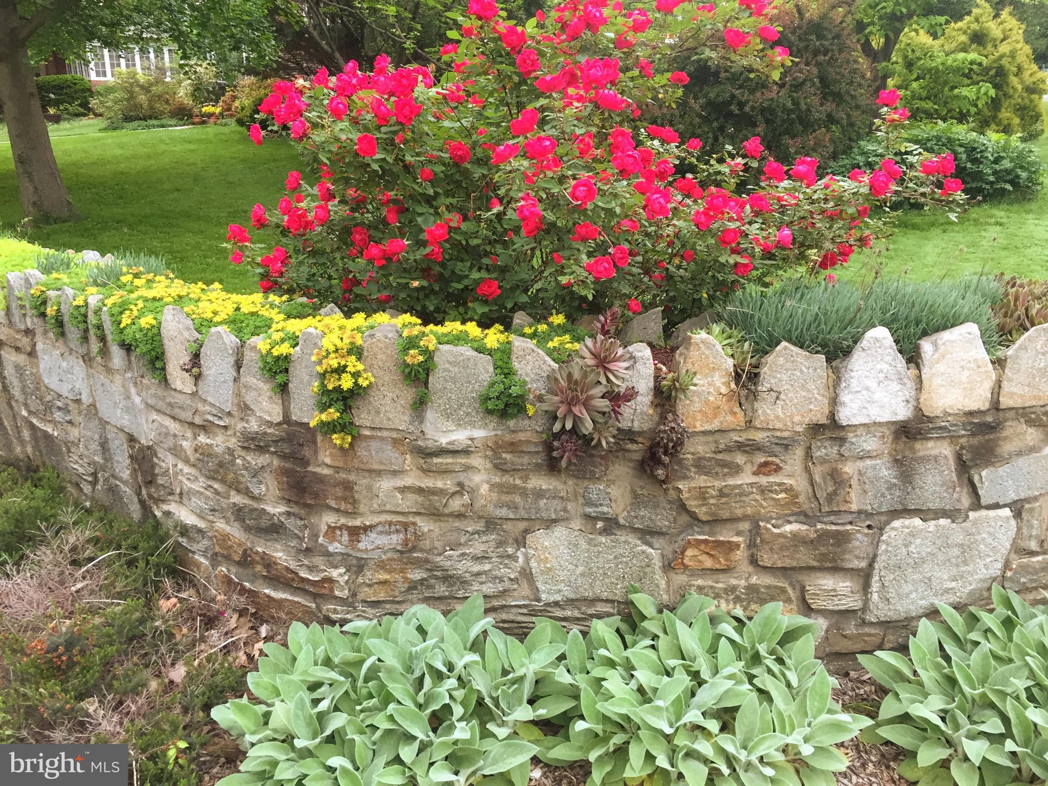 WILTONDALE - Residential